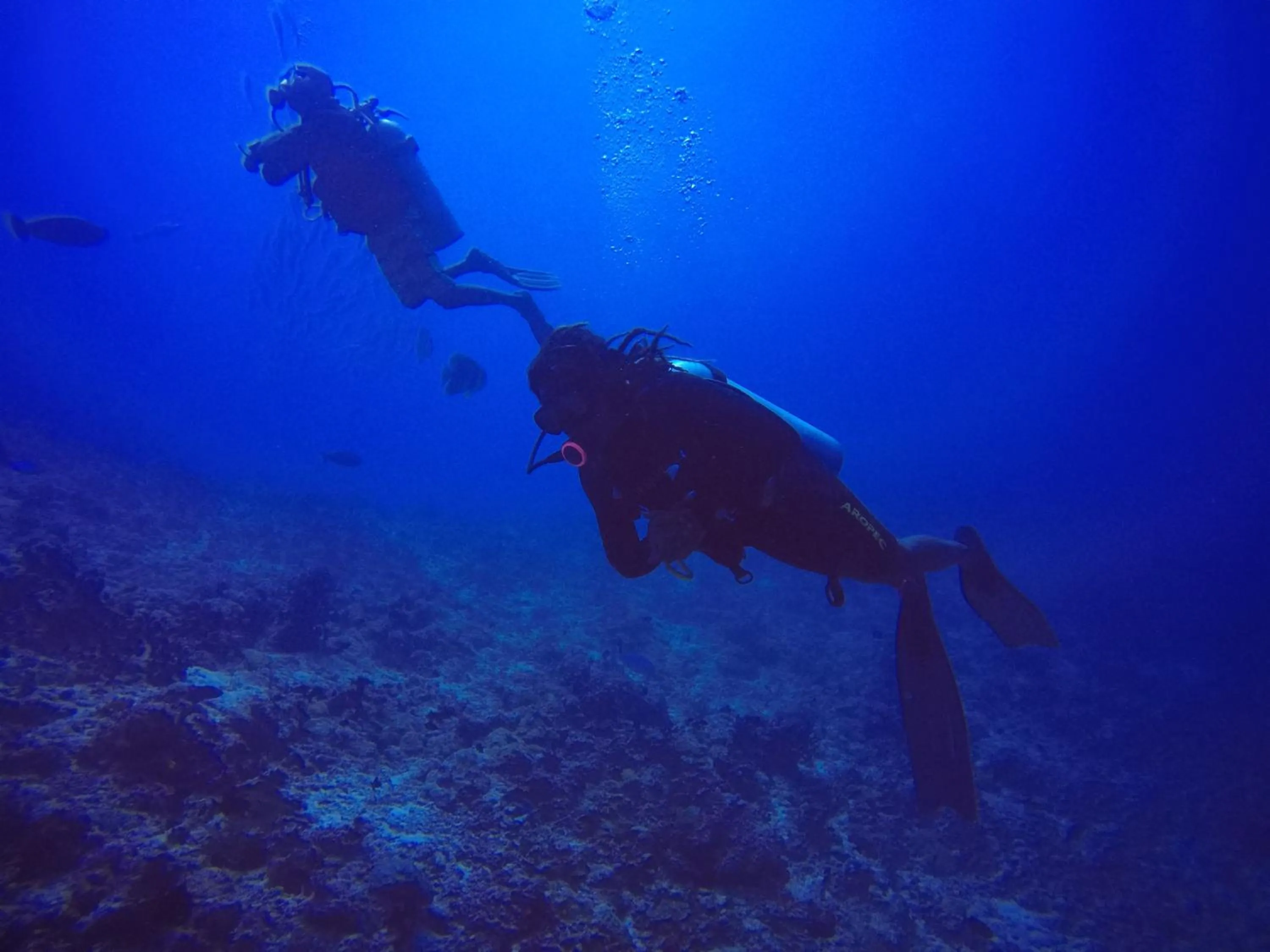 Day in Rasdhoo Coralville