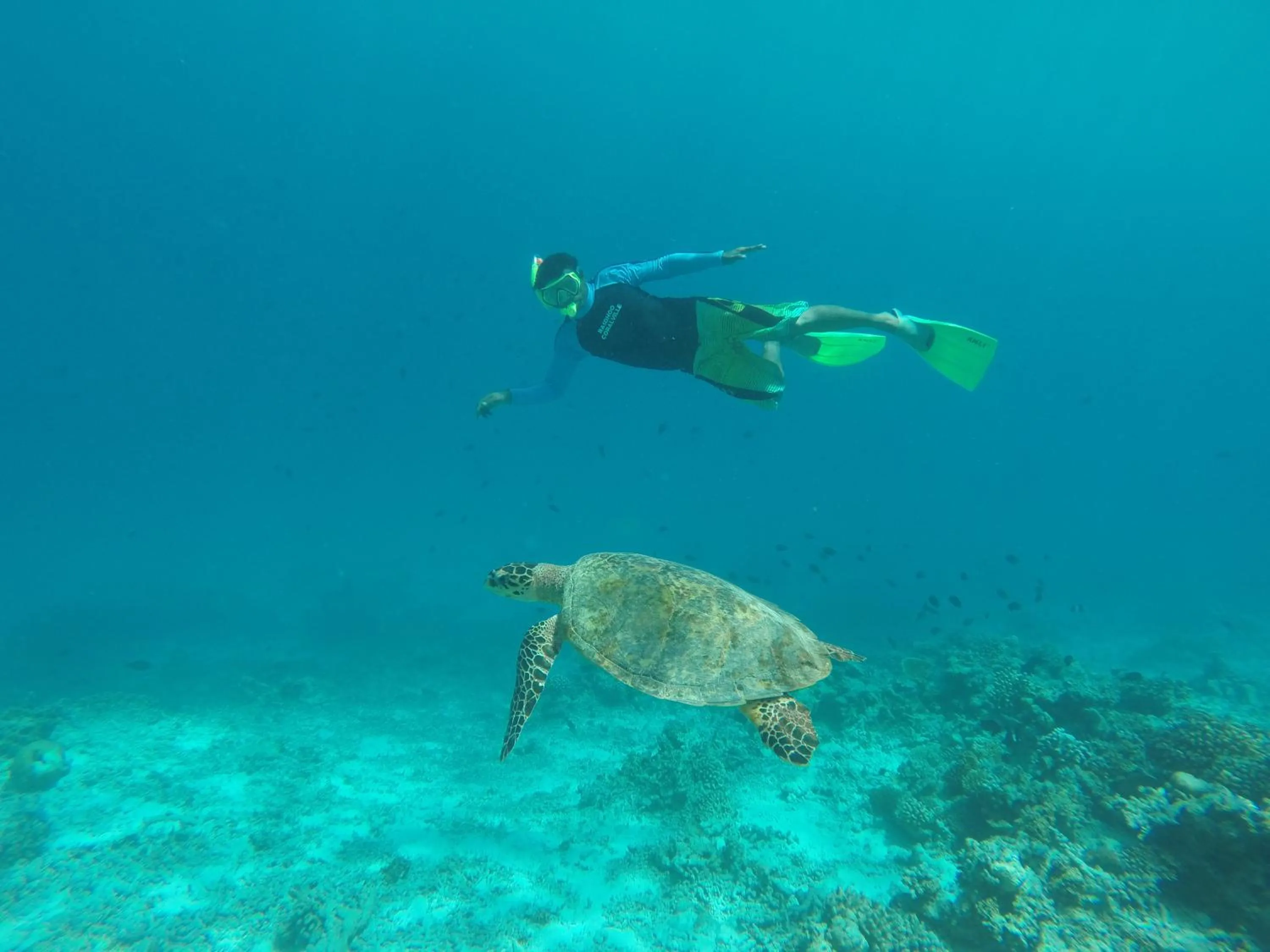 Snorkeling in Rasdhoo Coralville