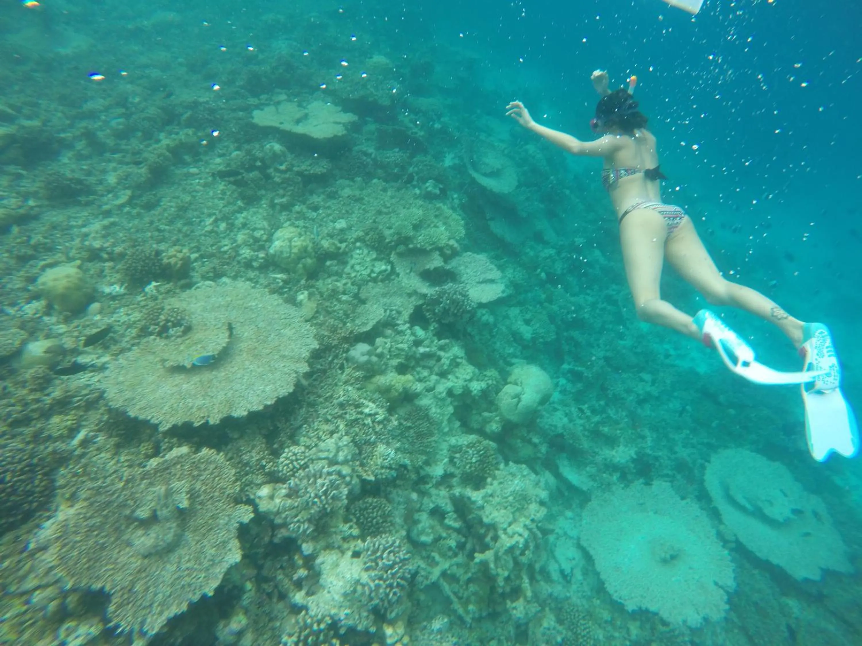 Day in Rasdhoo Coralville