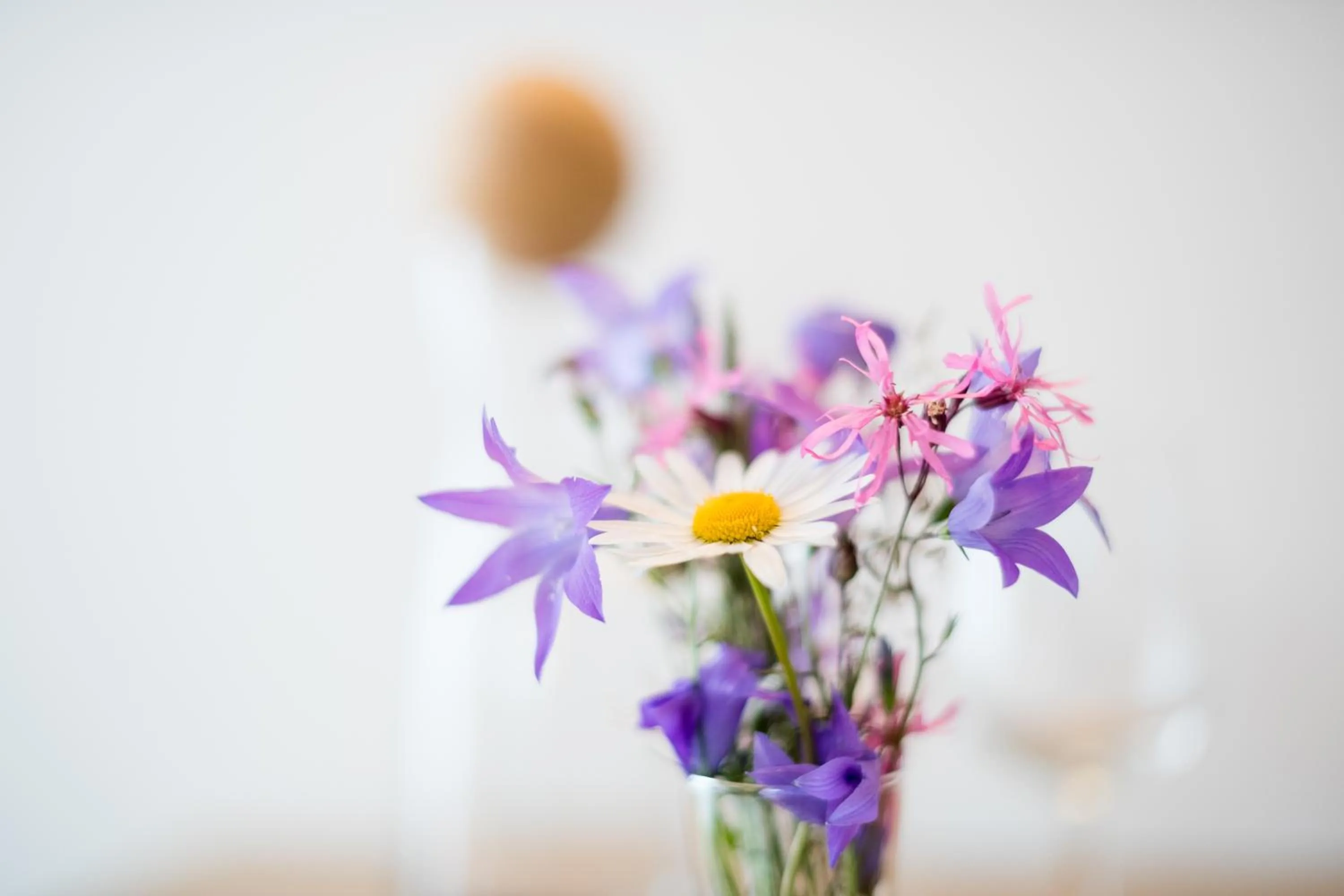 Decorative detail in Apartmenthotel Sonnenhof
