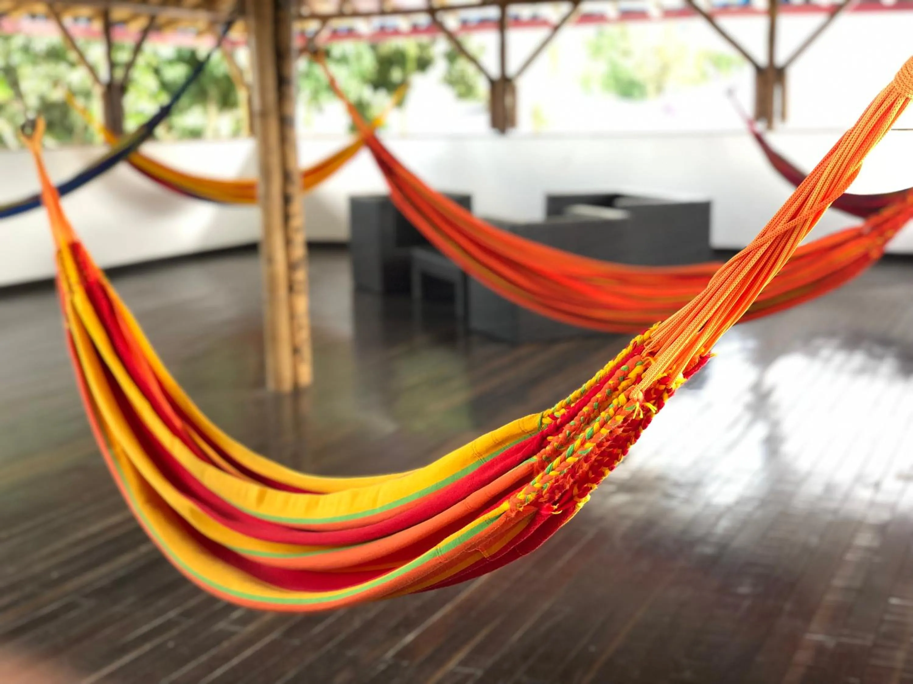 Day in Finca Hotel la Manuela