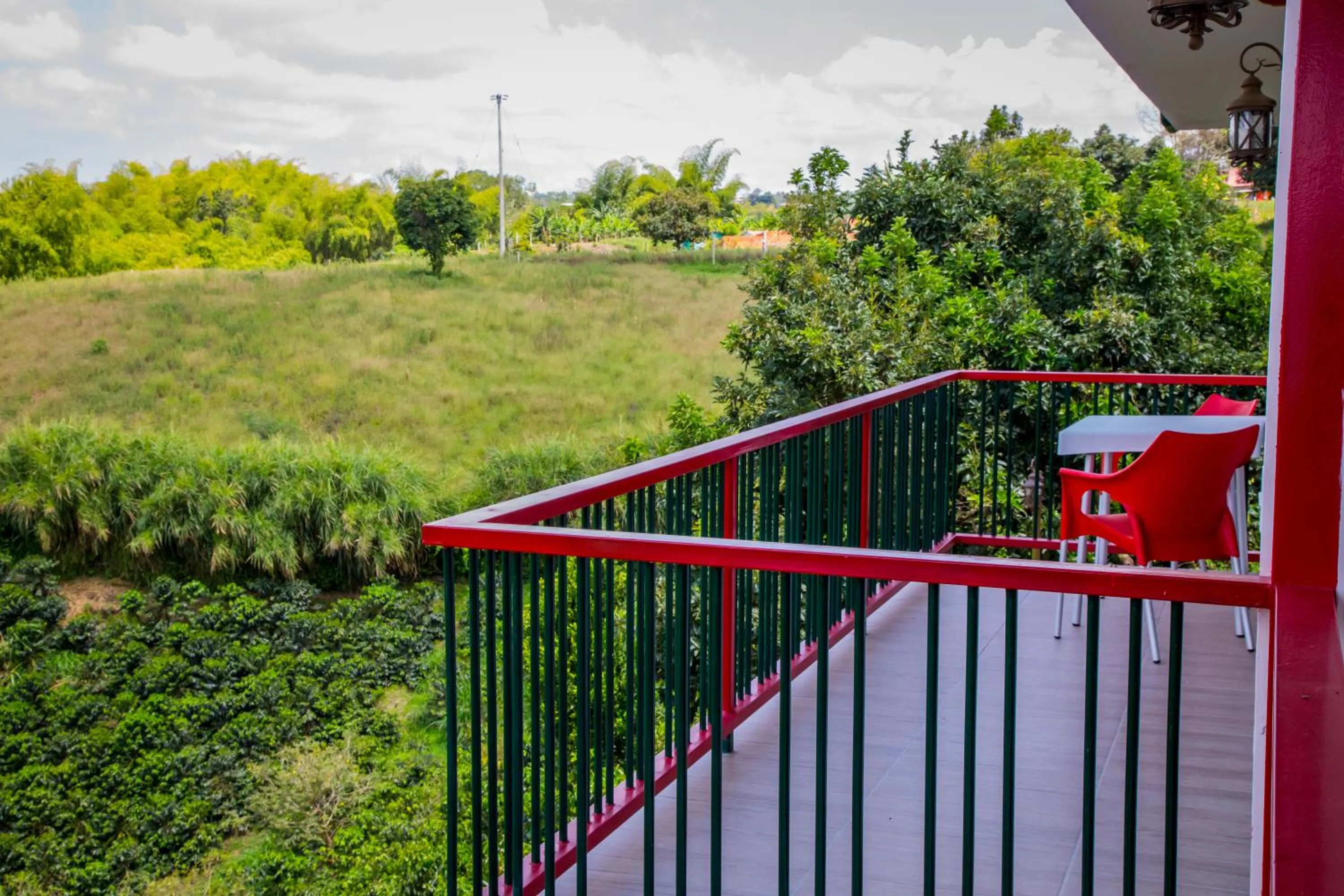 Garden in Finca Hotel la Manuela