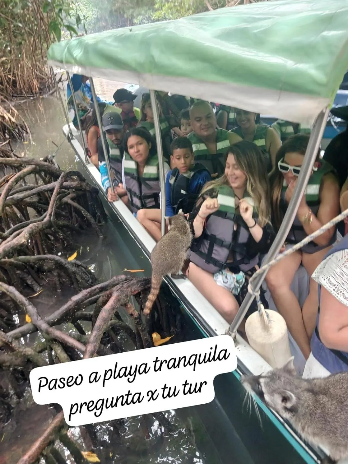 Dreimar Hotel Boutique