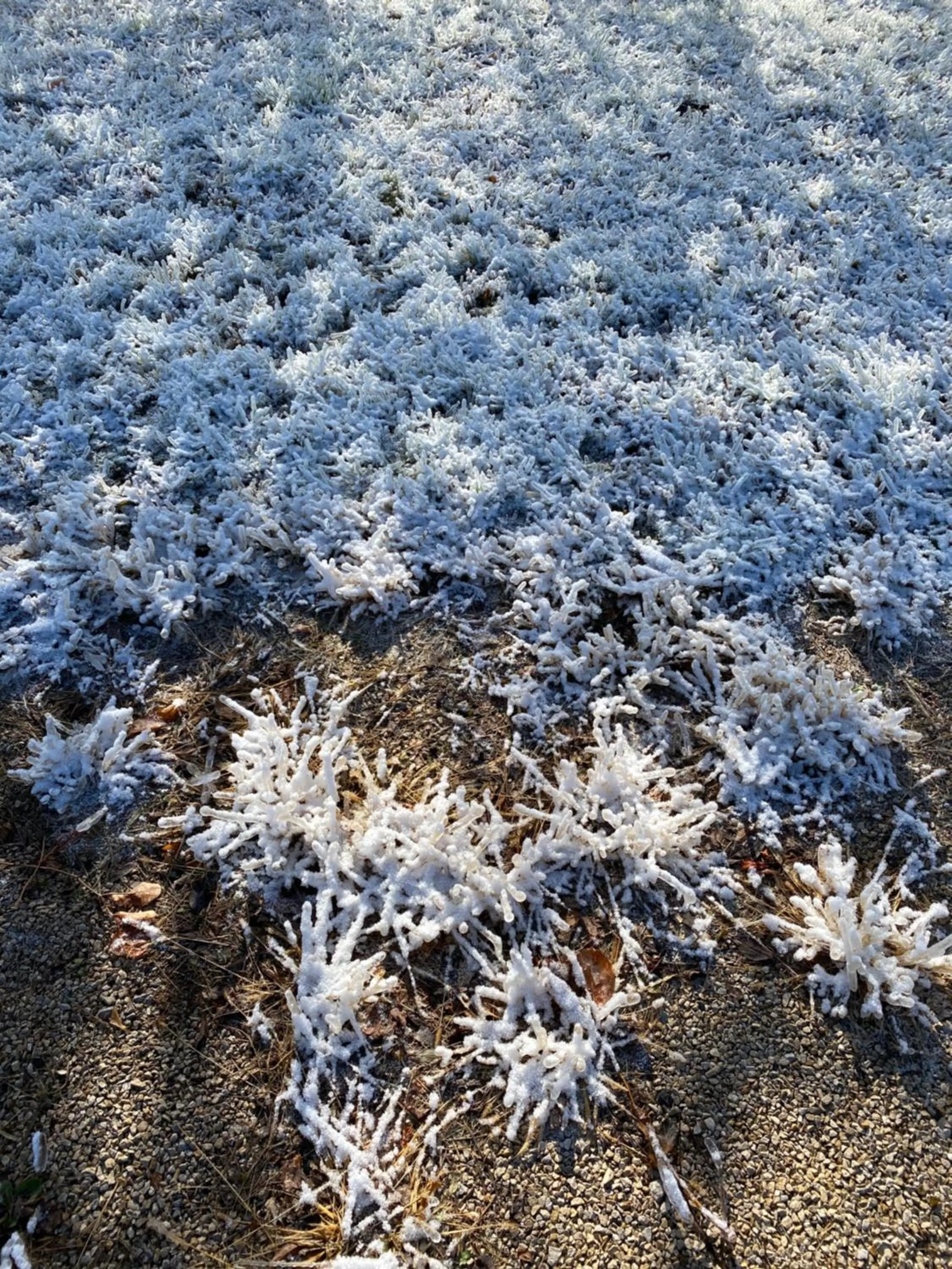 Natural landscape in Burr Oak Motel