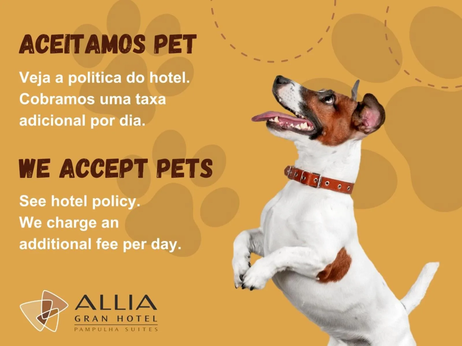 Pets in Allia Gran Pampulha Suites