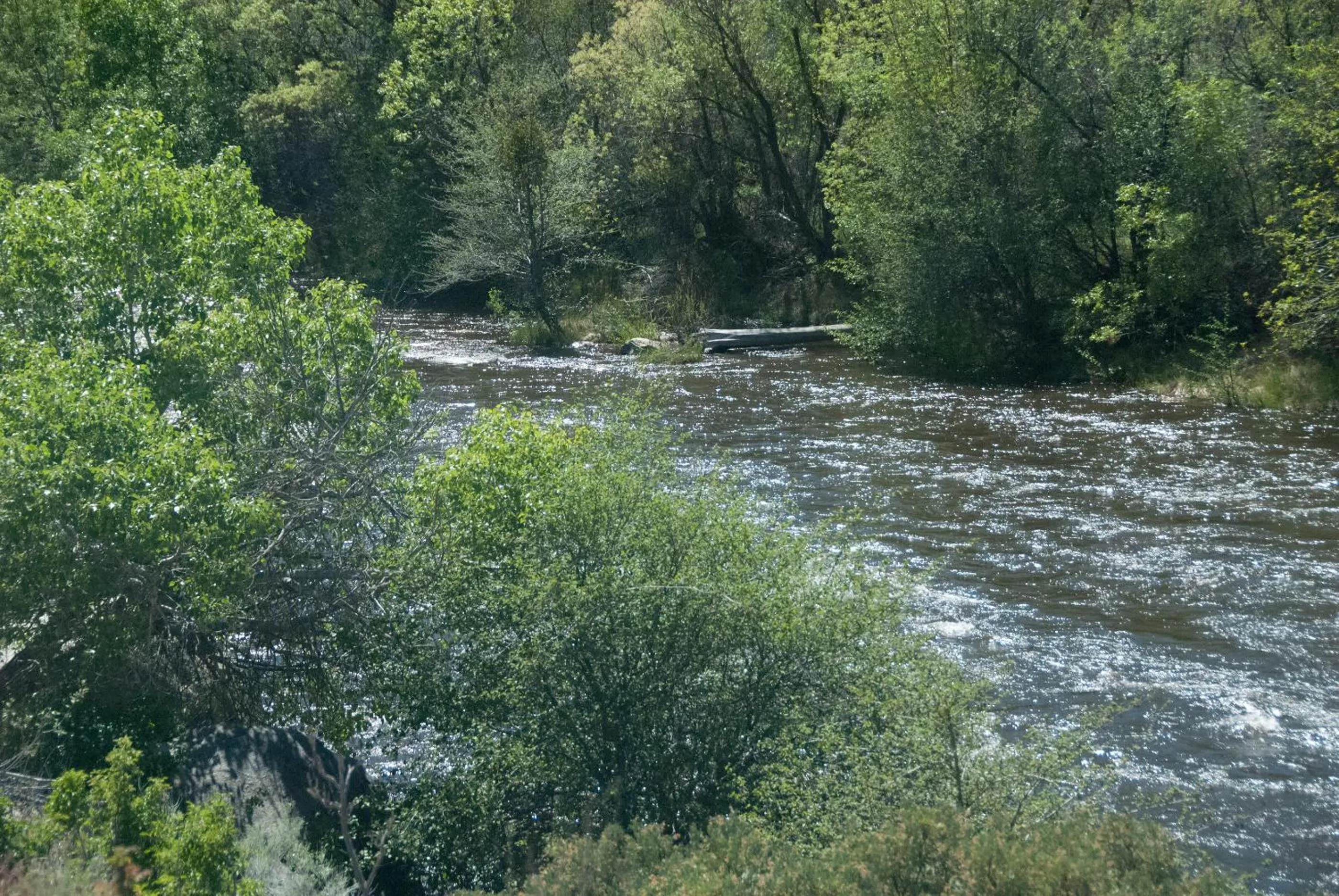 River view in Corral Creek Lodge