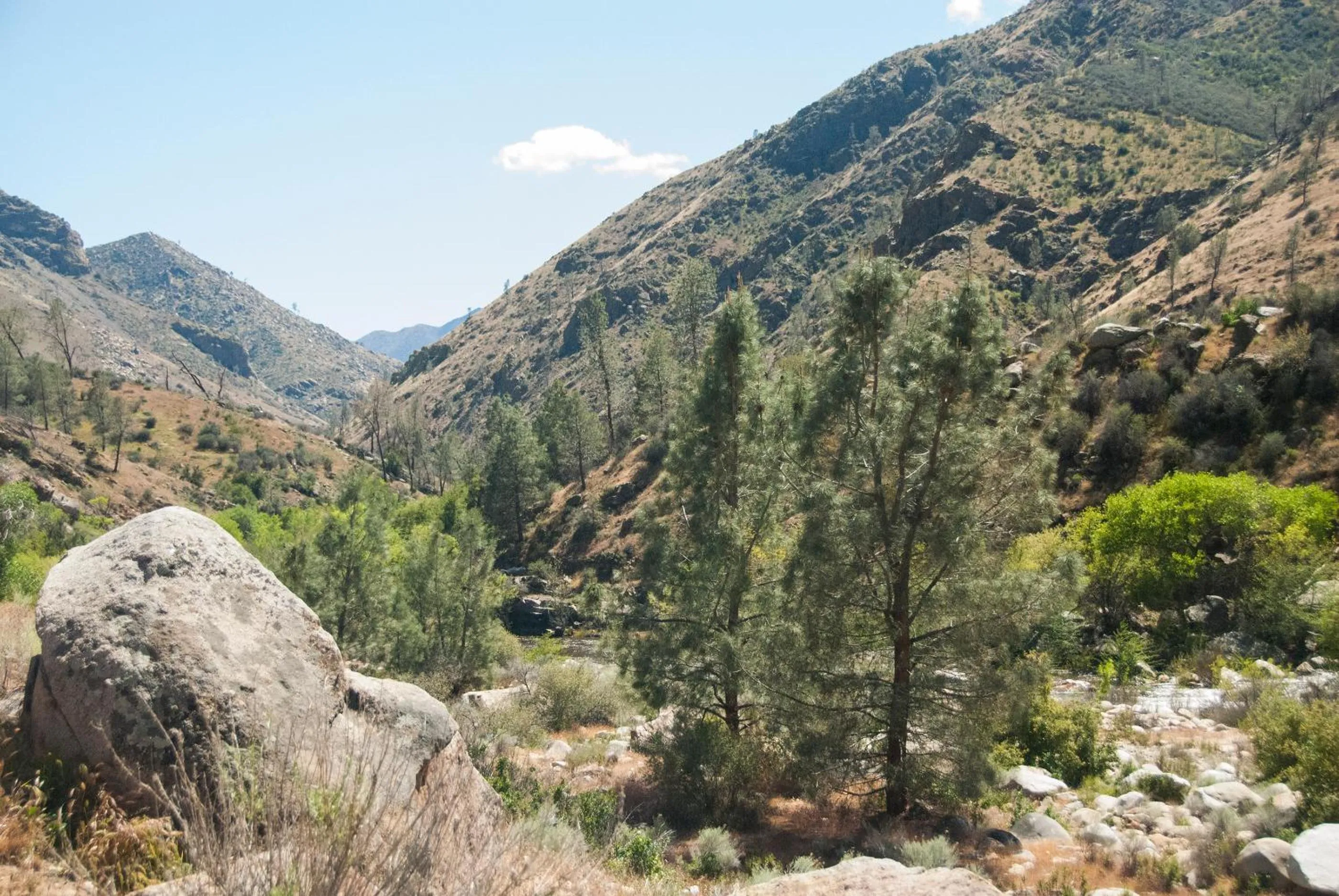 Mountain view in Corral Creek Lodge