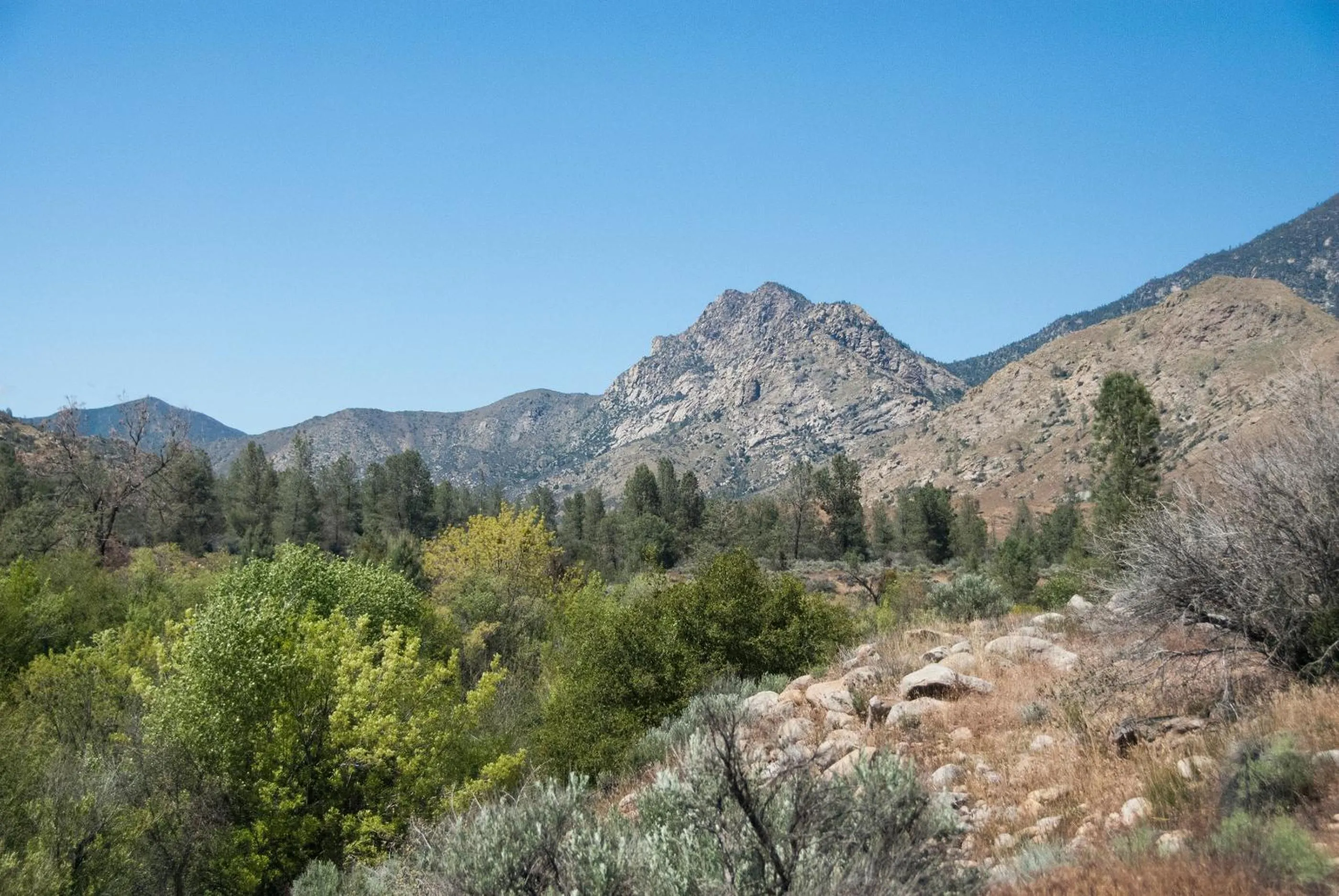 Natural landscape in Corral Creek Lodge