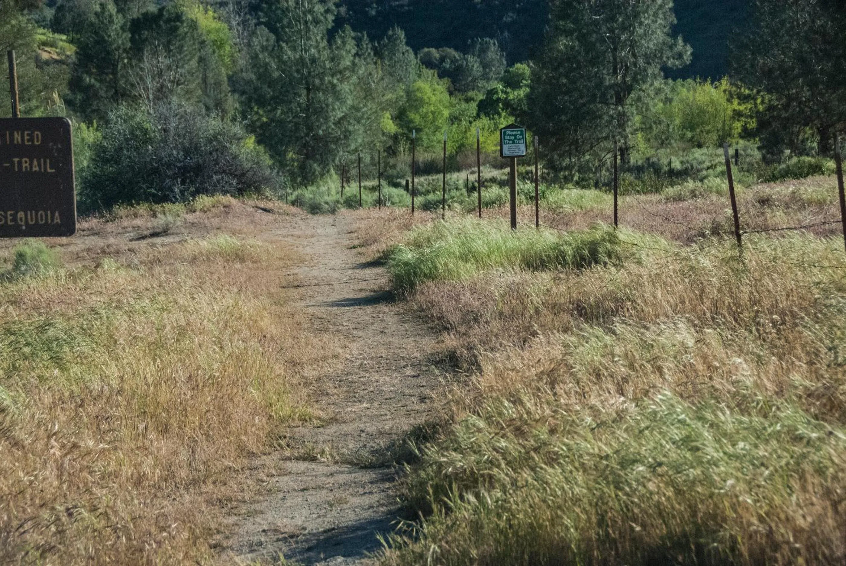 Natural landscape in Corral Creek Lodge