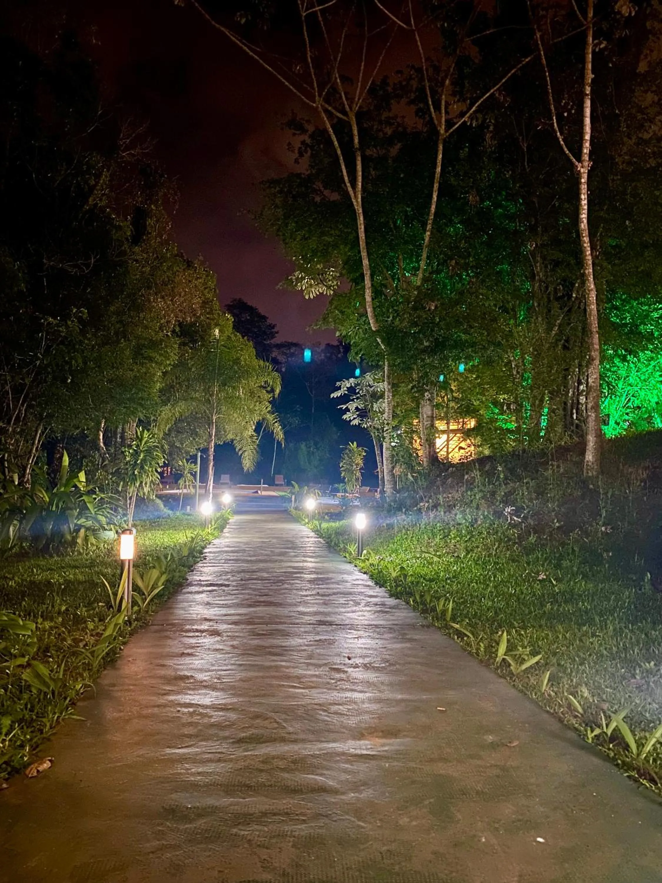 Rainforest Hotel & Cabañas