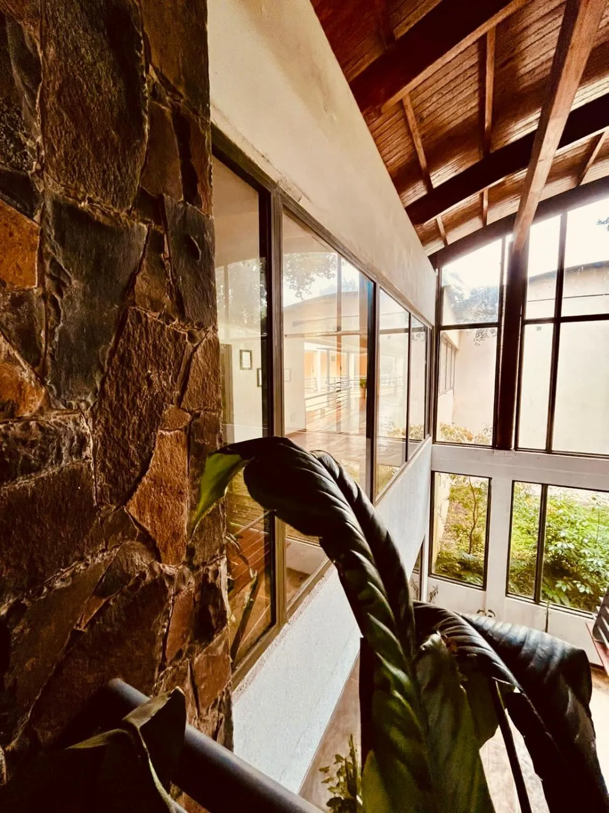 Rainforest Hotel & Cabañas