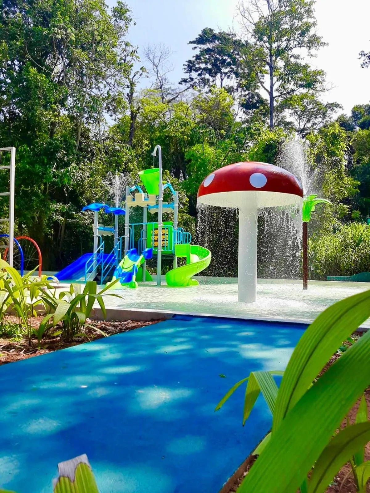 Aqua park in Rainforest Hotel & Cabañas