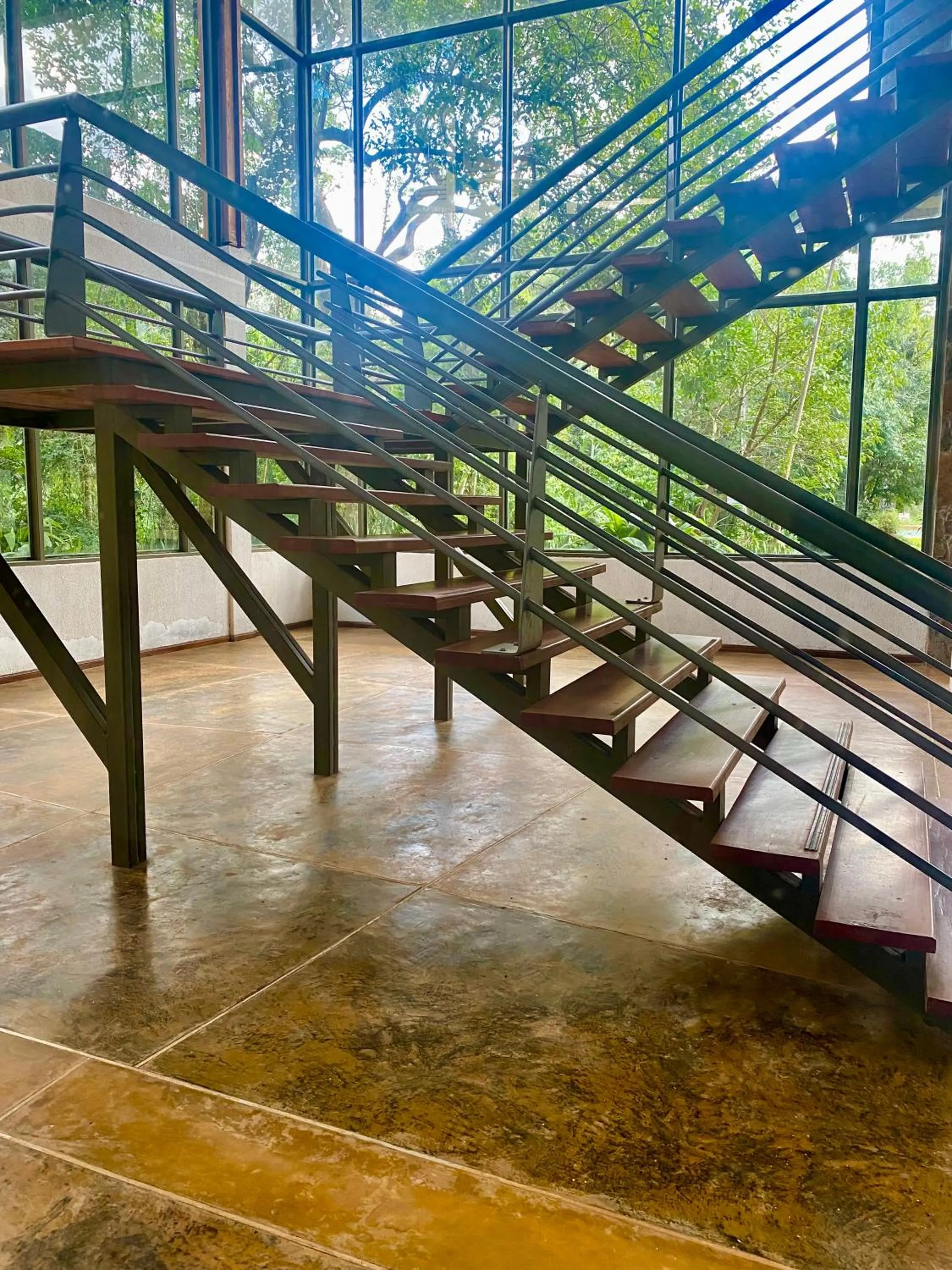 Rainforest Hotel & Cabañas