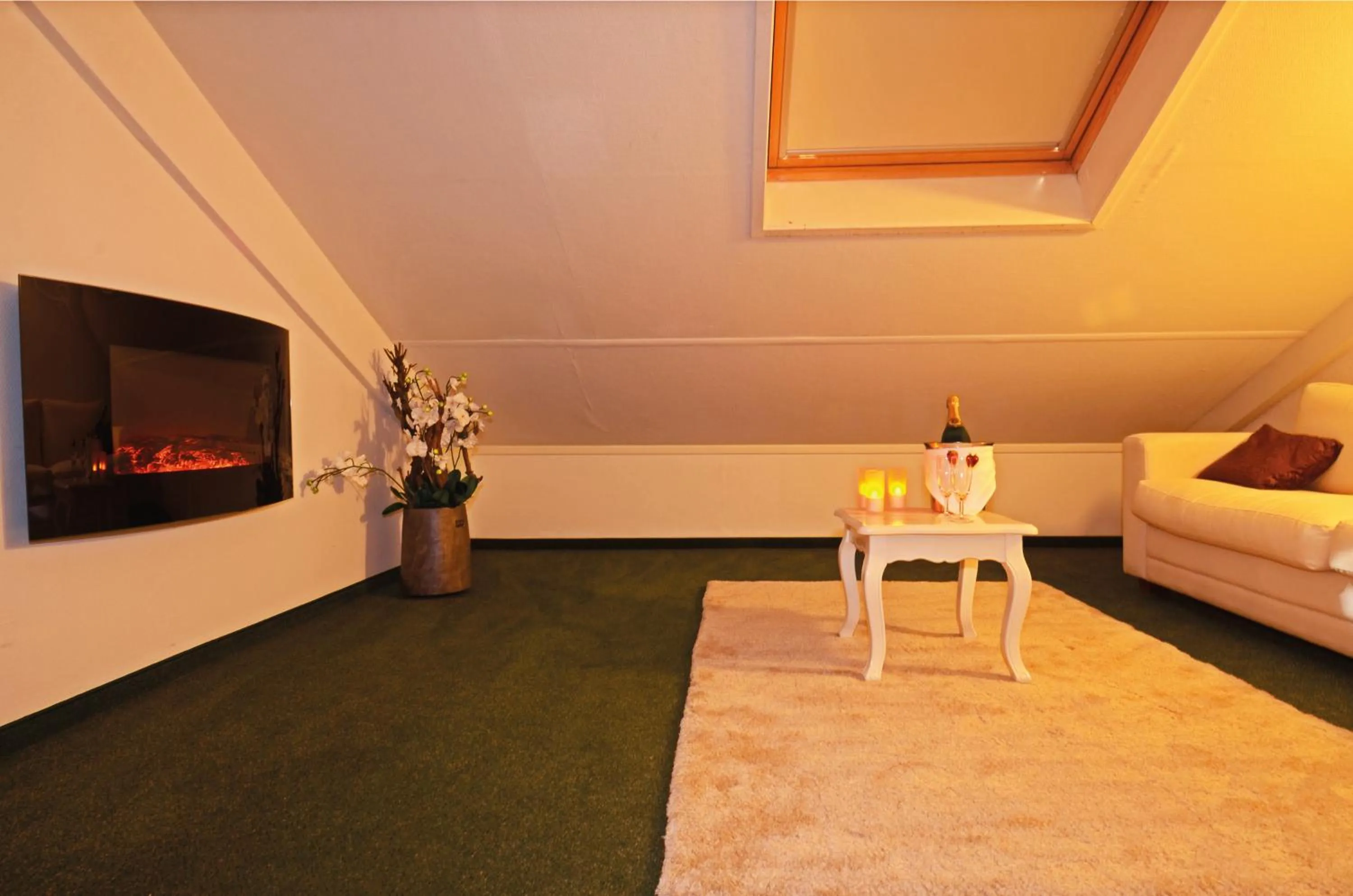 TV and multimedia in Fletcher Hotel Restaurant Heidehof