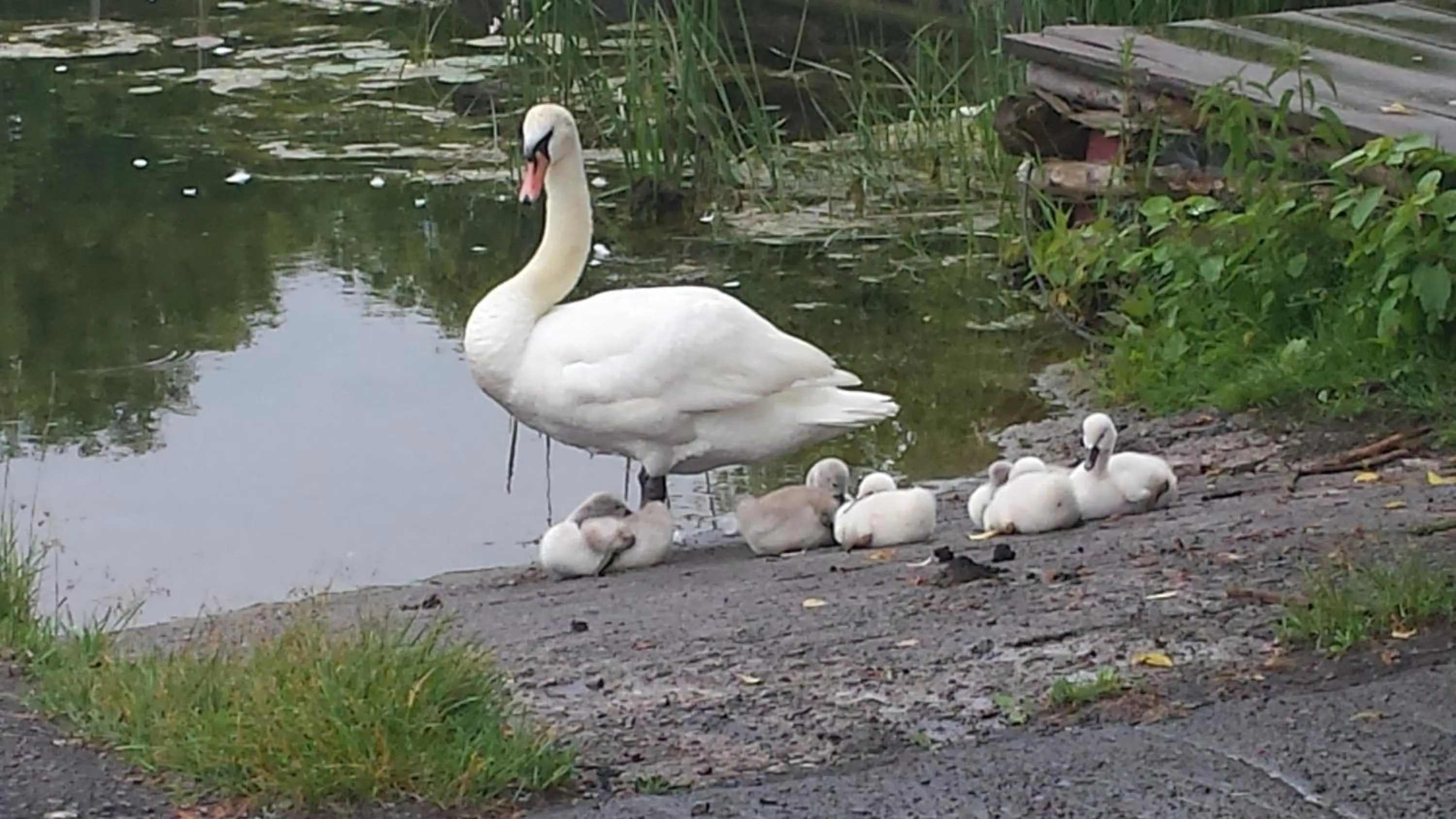 Facade/entrance in Stoneburg Cove Cottages