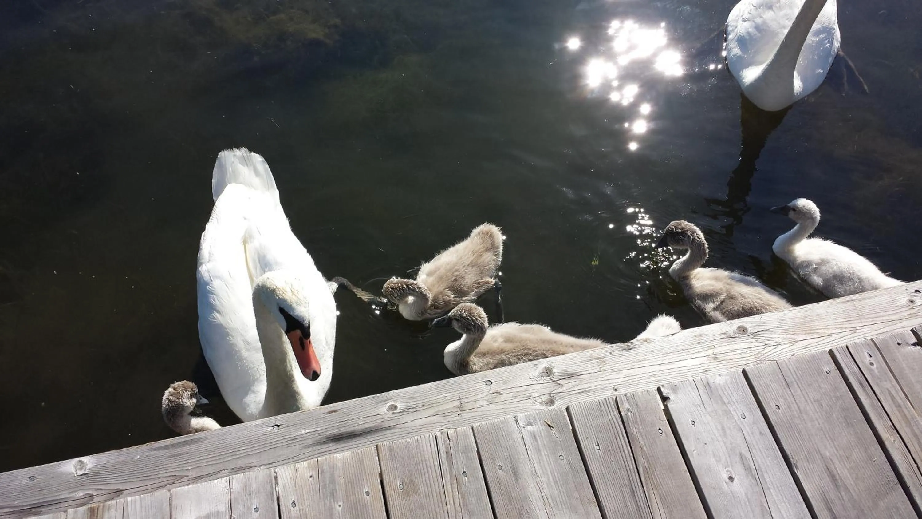 Facade/entrance in Stoneburg Cove Cottages