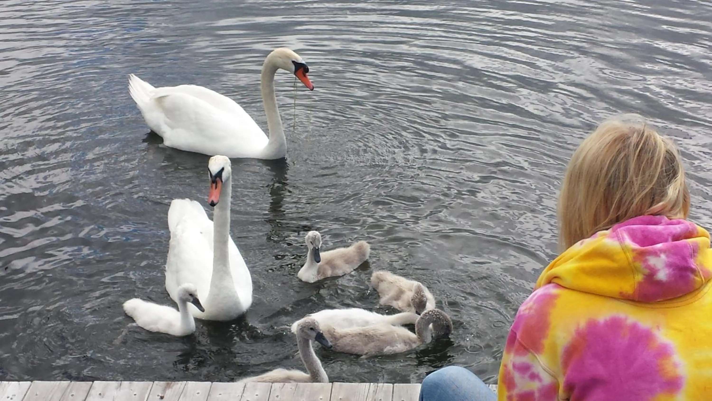 Animals in Stoneburg Cove Cottages