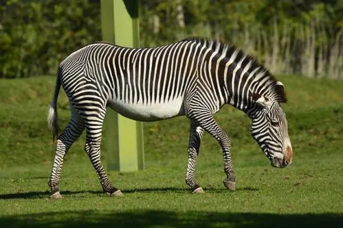 Brookside Hotel & Restaurant ,Suitable for Solo Travelers Couples Educational Groups & Families welcome