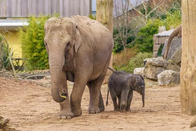 Brookside Hotel & Restaurant ,Suitable for Solo Travelers Couples Educational Groups & Families welcome