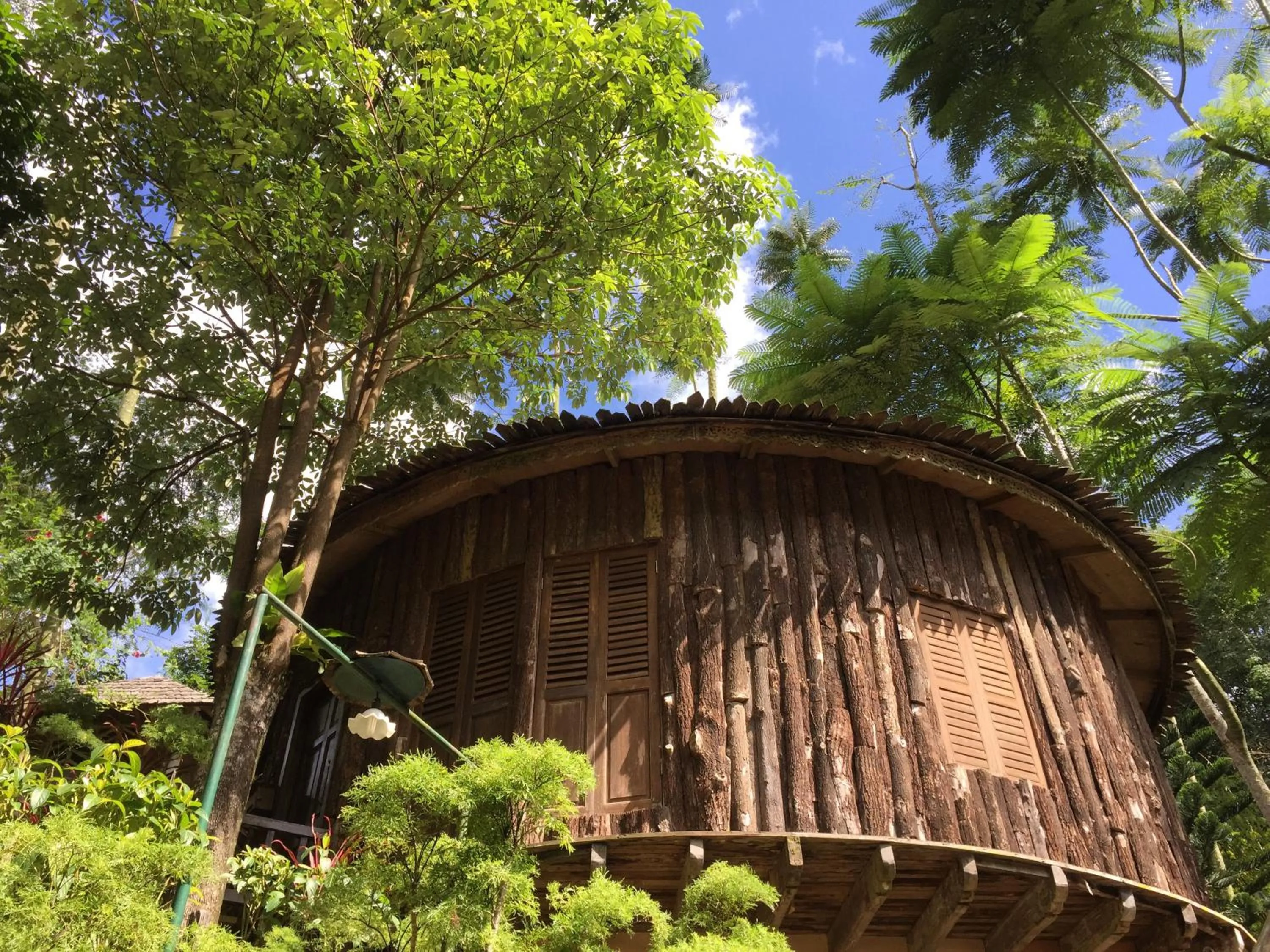 Photo of the whole room in Fig Tree Hills Resort (花果山度假村)