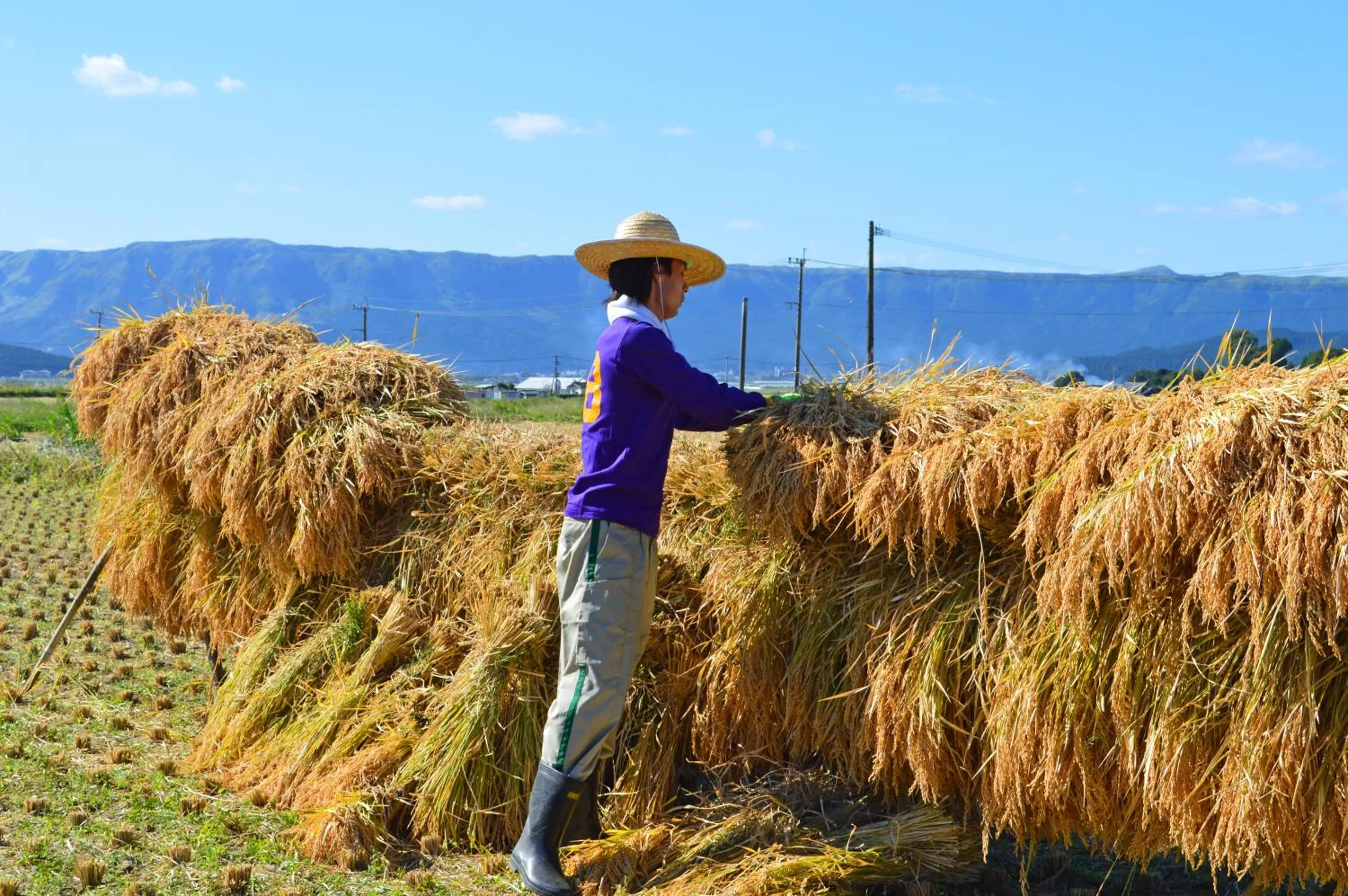 Other in Sen-no-Mori