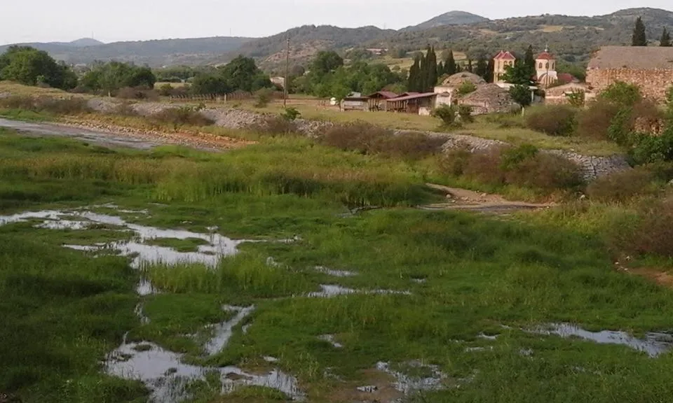 Day in Hotel Isidora