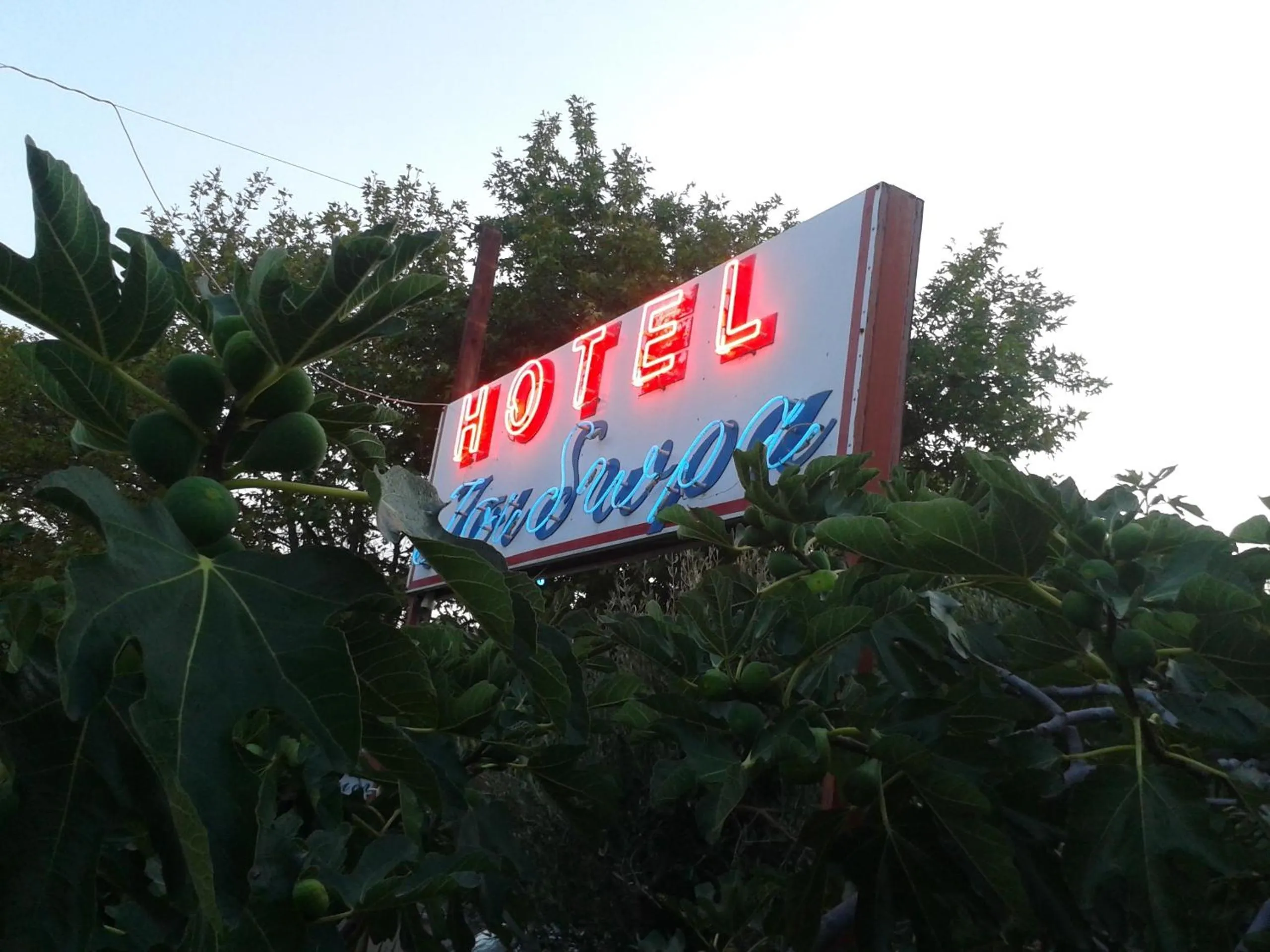 Logo/Certificate/Sign in Hotel Isidora