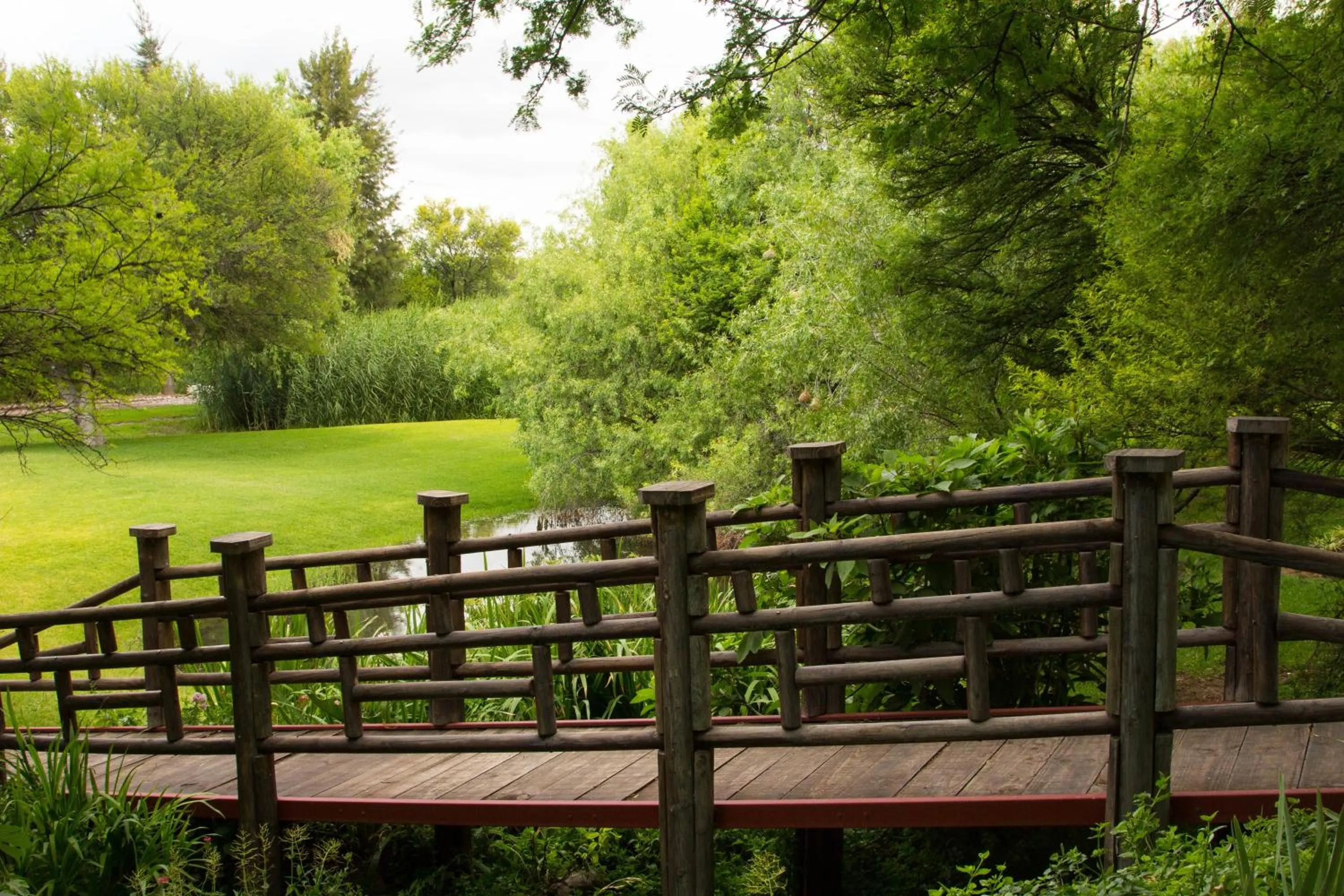 Garden in Matoppo Inn