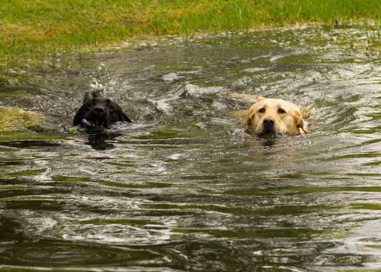 Children play ground in Matoppo Inn