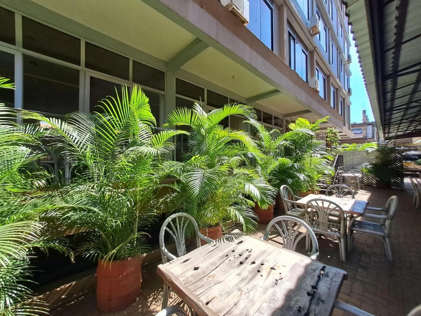 Patio in Moshi Leopard Hotel