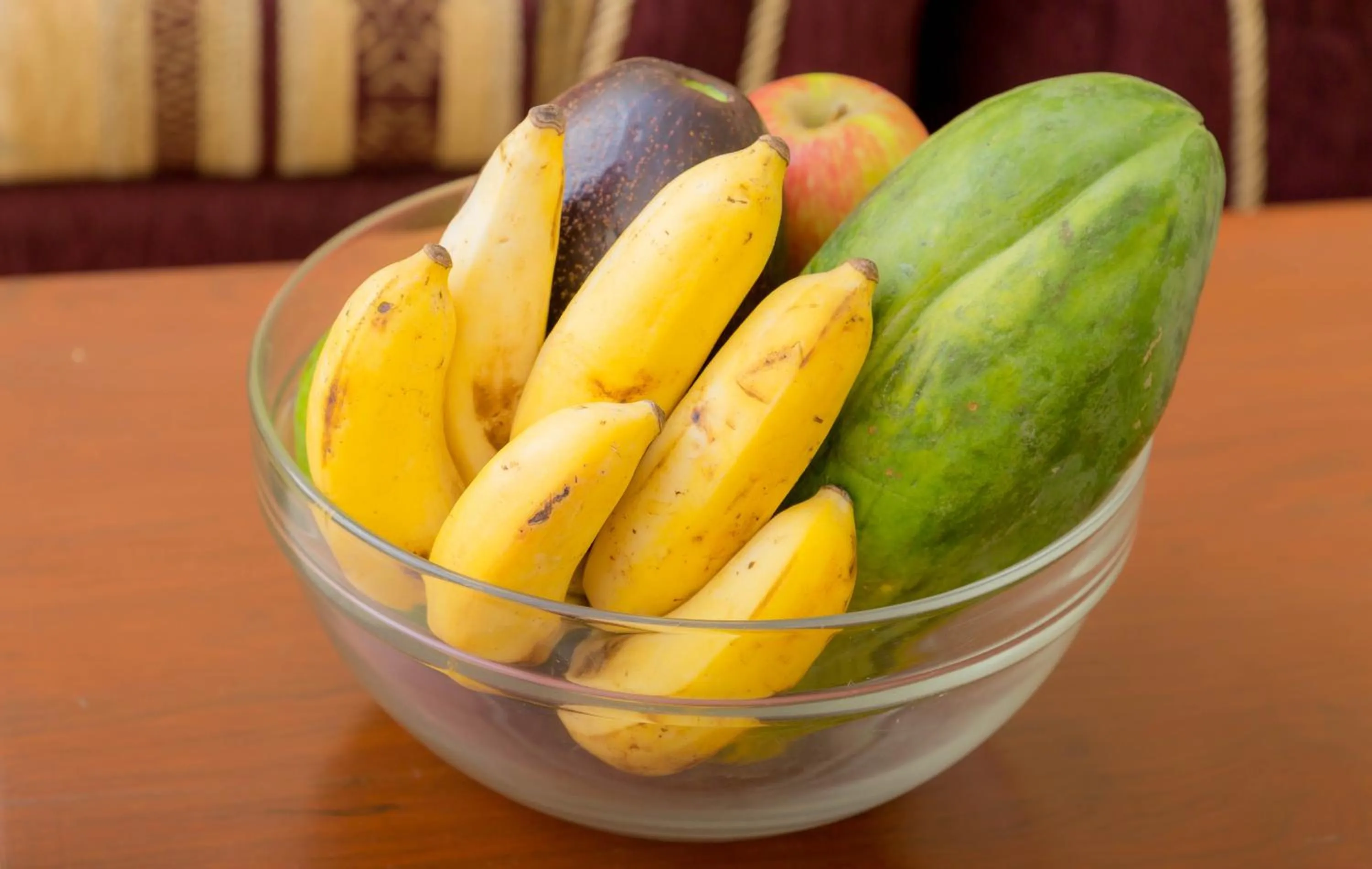 Food close-up in Moshi Leopard Hotel
