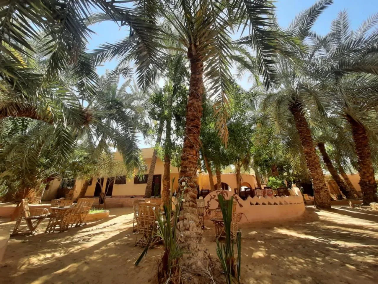 Natural landscape in New Star Hotel