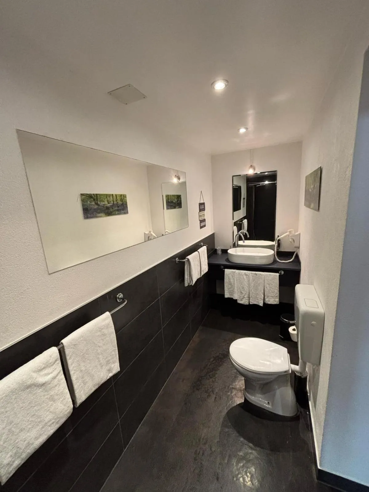 Bathroom in Hotel Parc & Lac