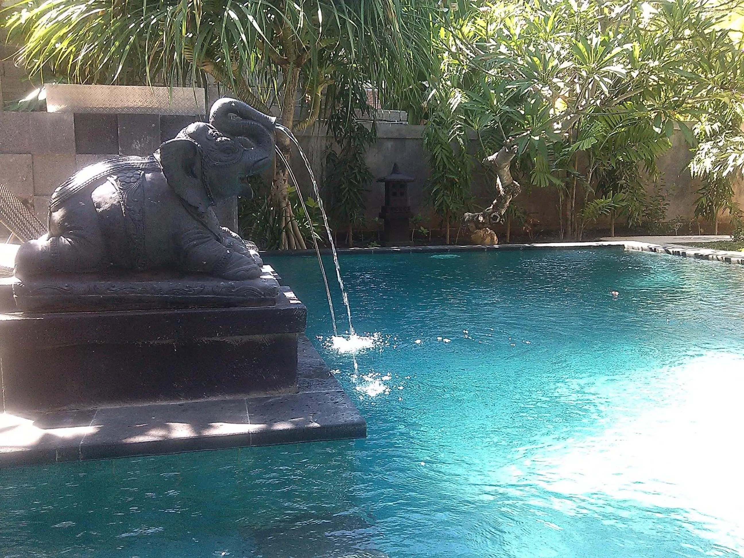 Swimming pool in Alami Resort, Restaurant and Dive Center