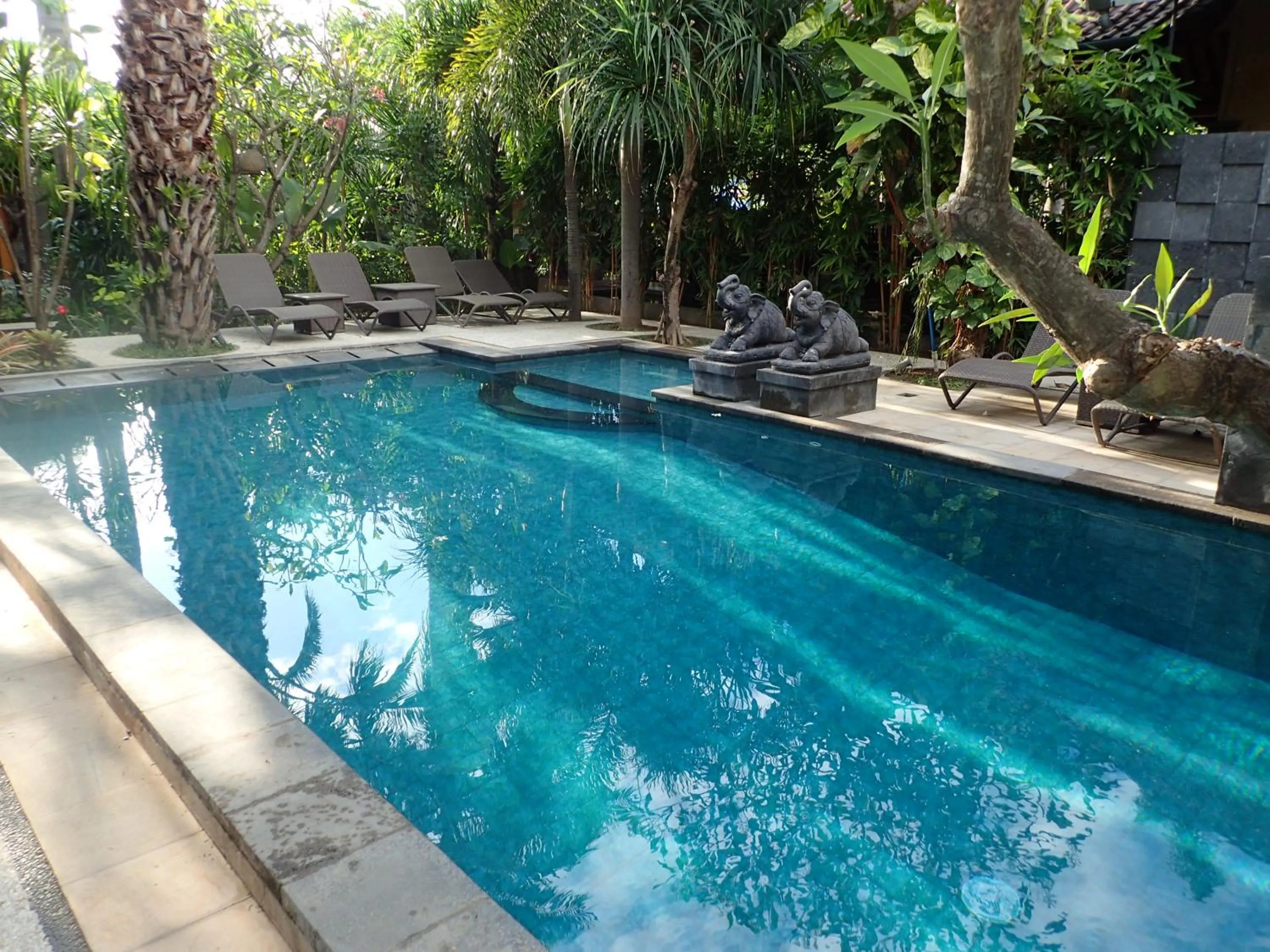 Pool view in Alami Resort, Restaurant and Dive Center