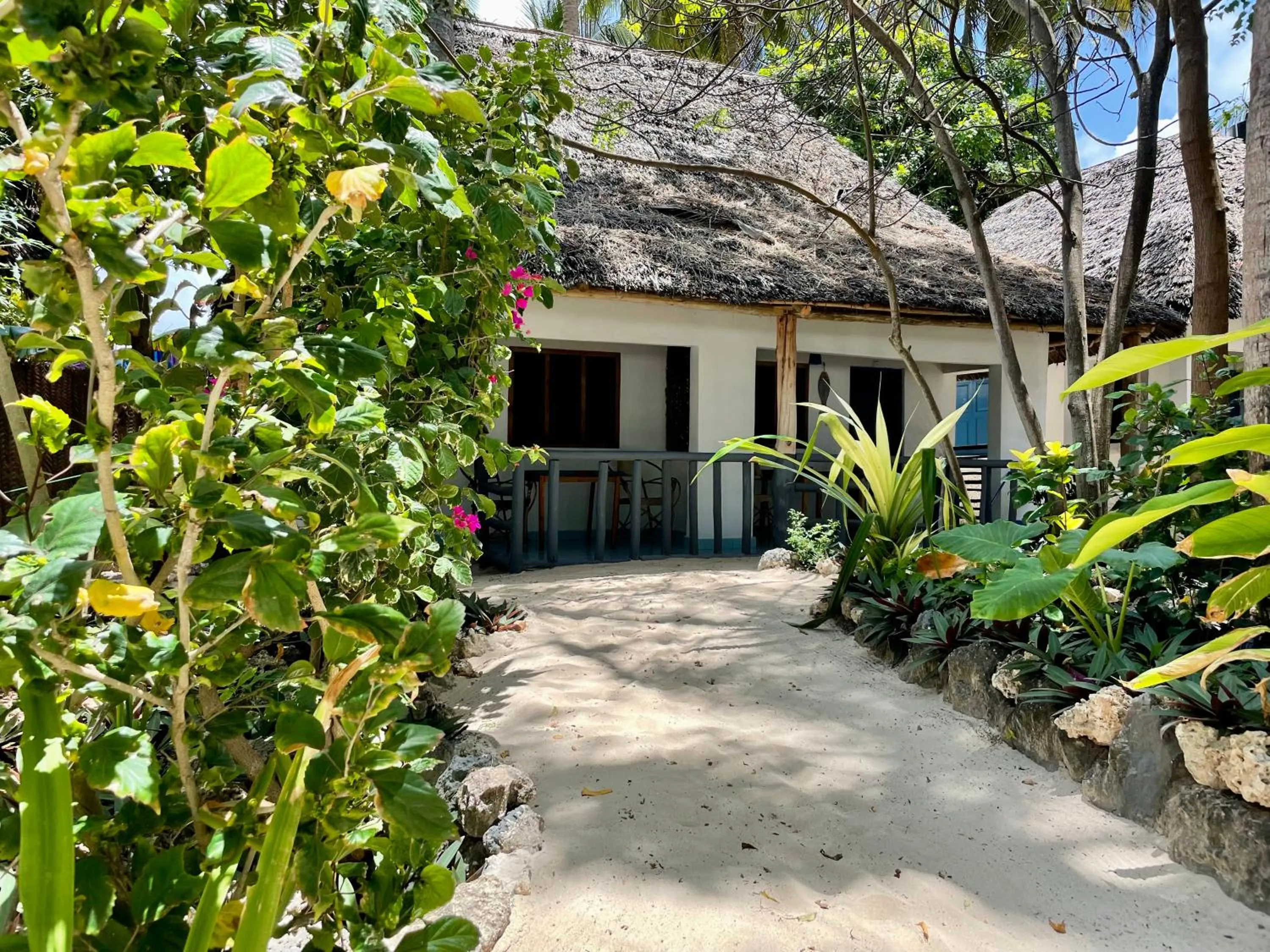 Garden in Blue Reef Sport & Fishing Lodge and Bungalows