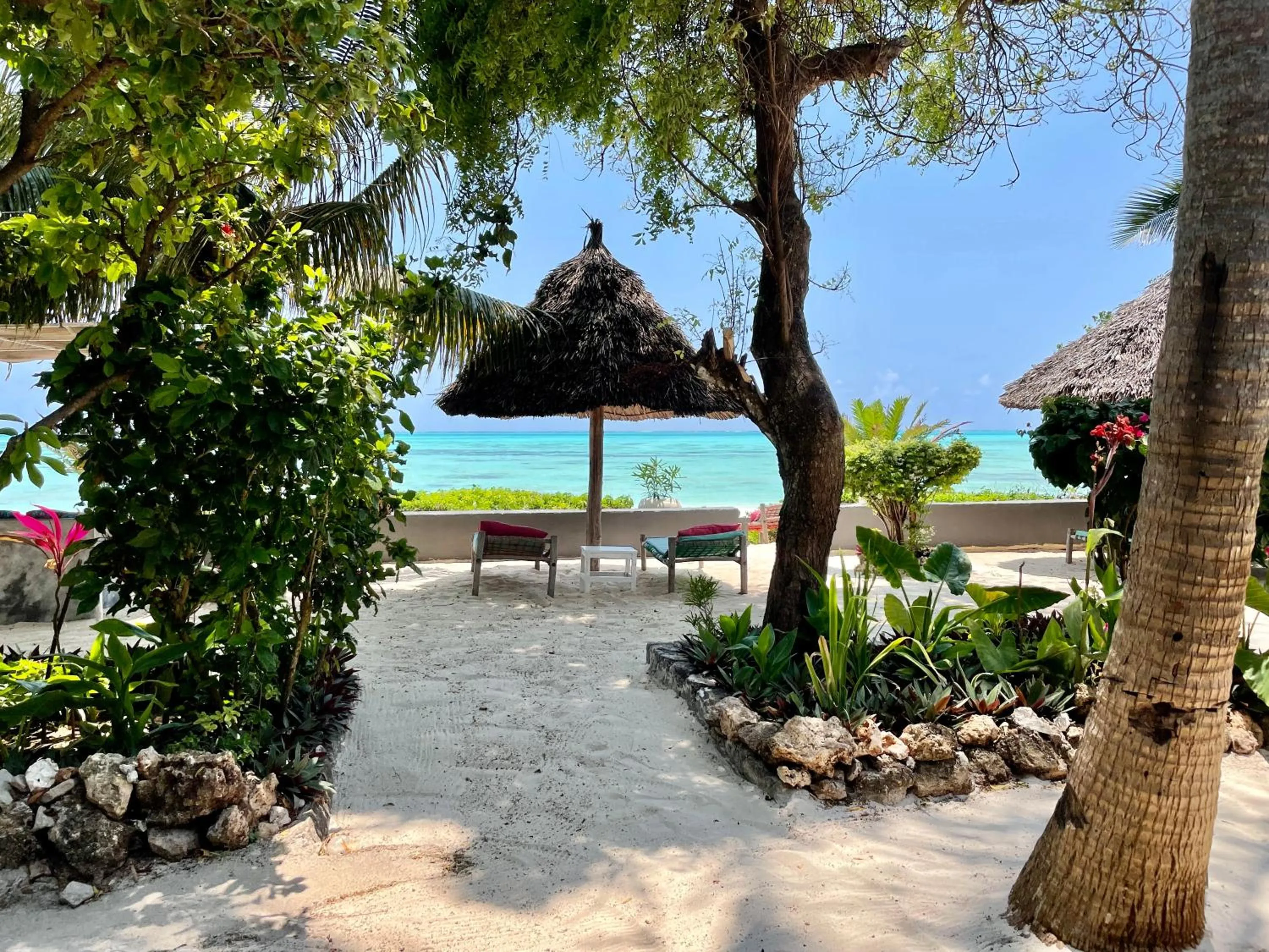 Garden in Blue Reef Sport & Fishing Lodge and Bungalows