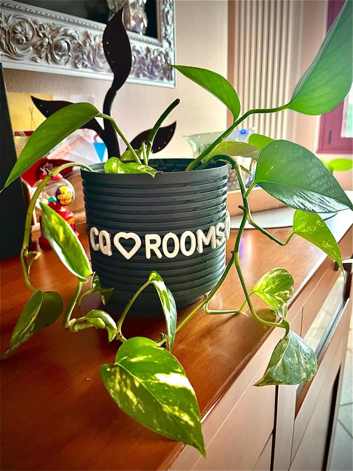 Text overlay in CQ Rooms Verona