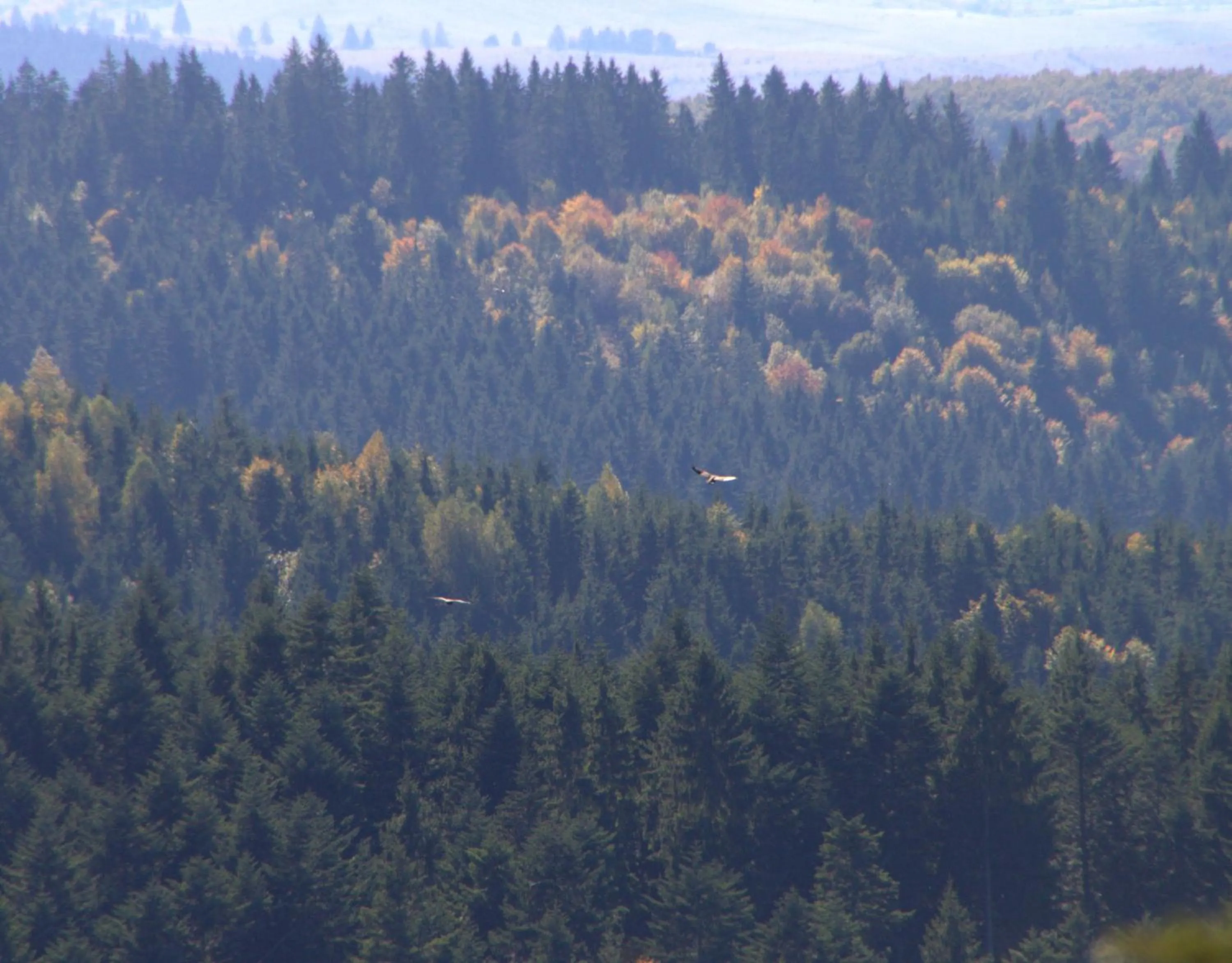 Hiking in Zabola Estate - Transylvania