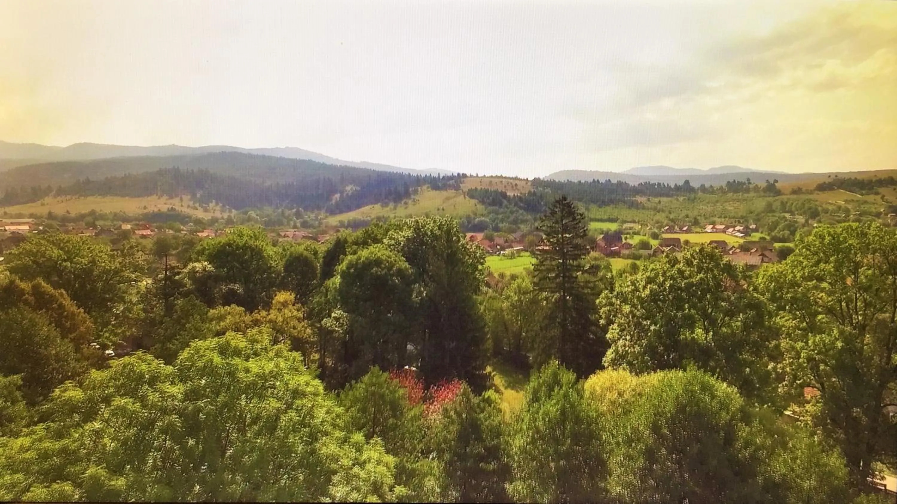 Natural landscape in Zabola Estate - Transylvania