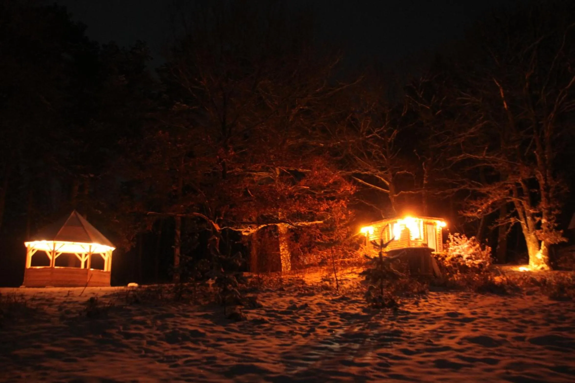 View (from property/room) in Zabola Estate - Transylvania
