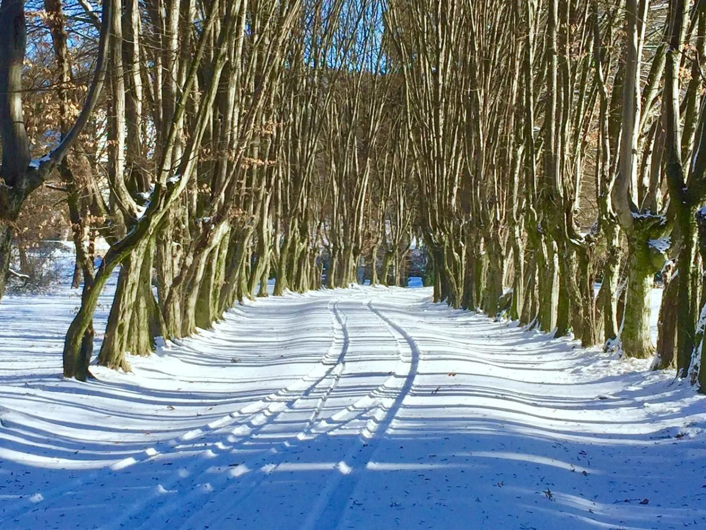View (from property/room) in Zabola Estate - Transylvania