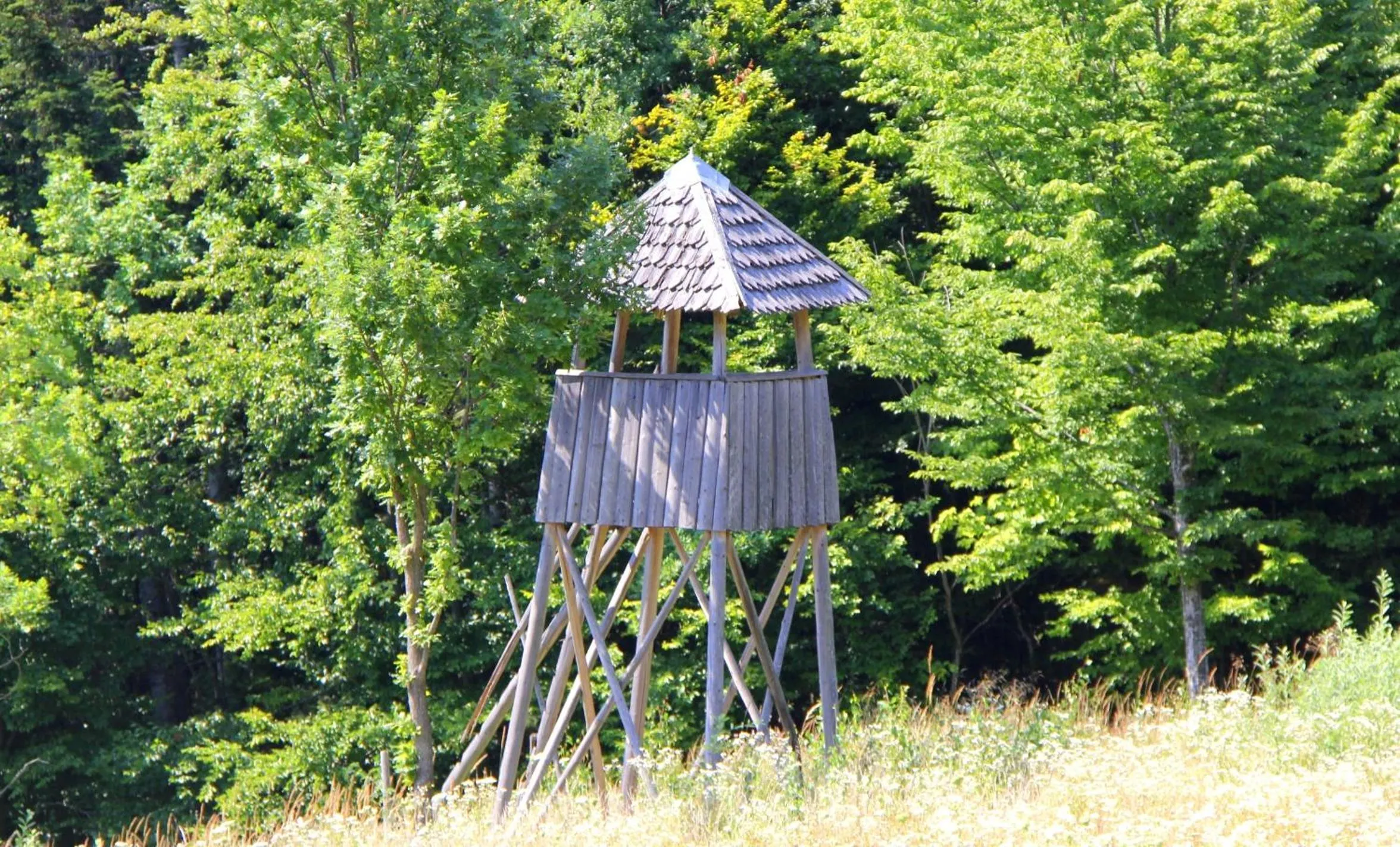 Day in Zabola Estate - Transylvania