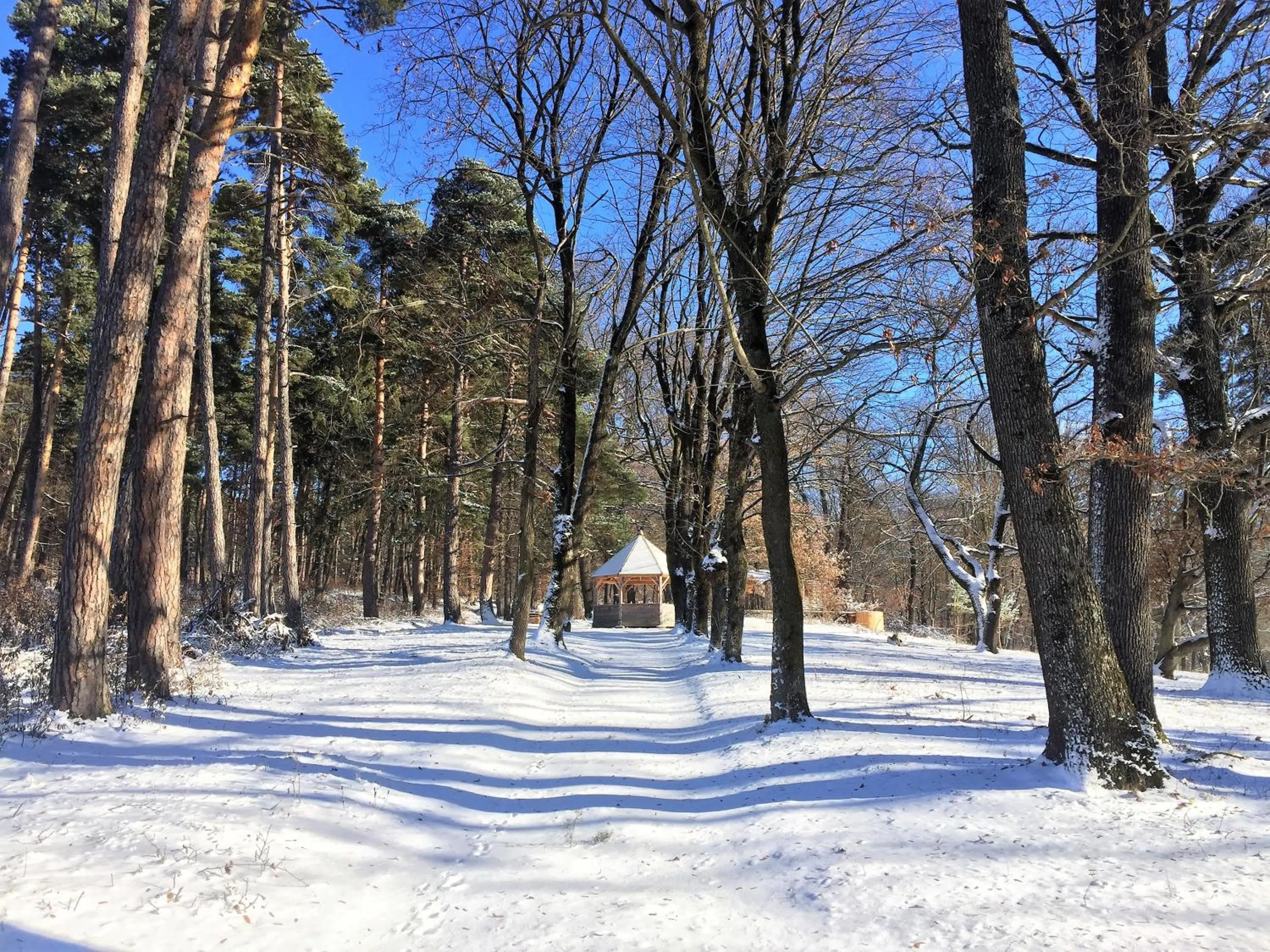 Winter in Zabola Estate - Transylvania