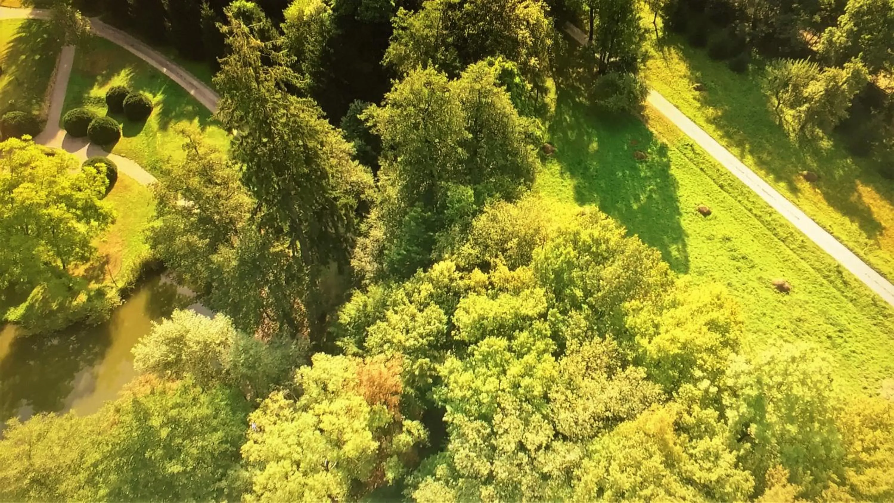 Day in Zabola Estate - Transylvania