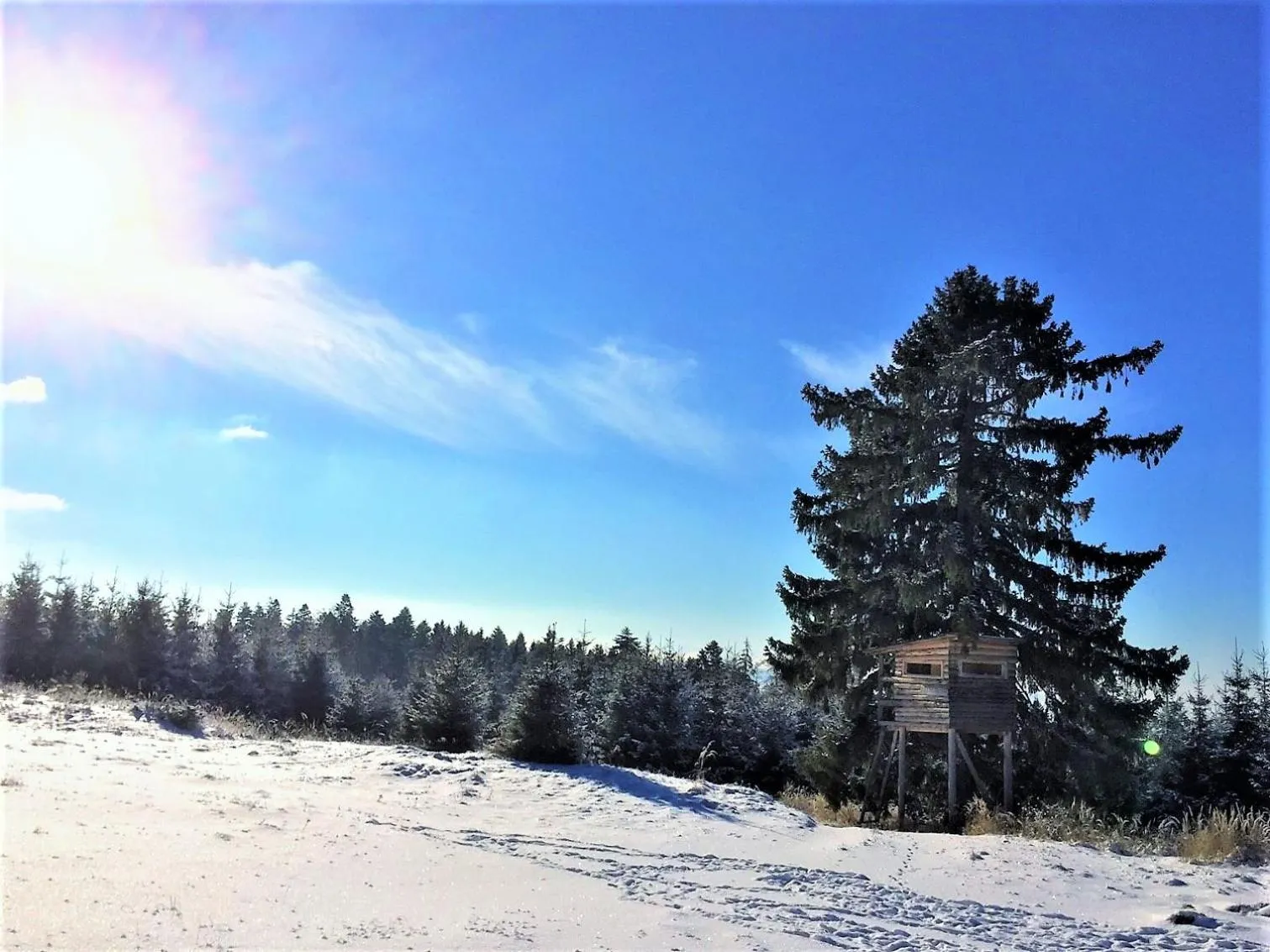 Day in Zabola Estate - Transylvania