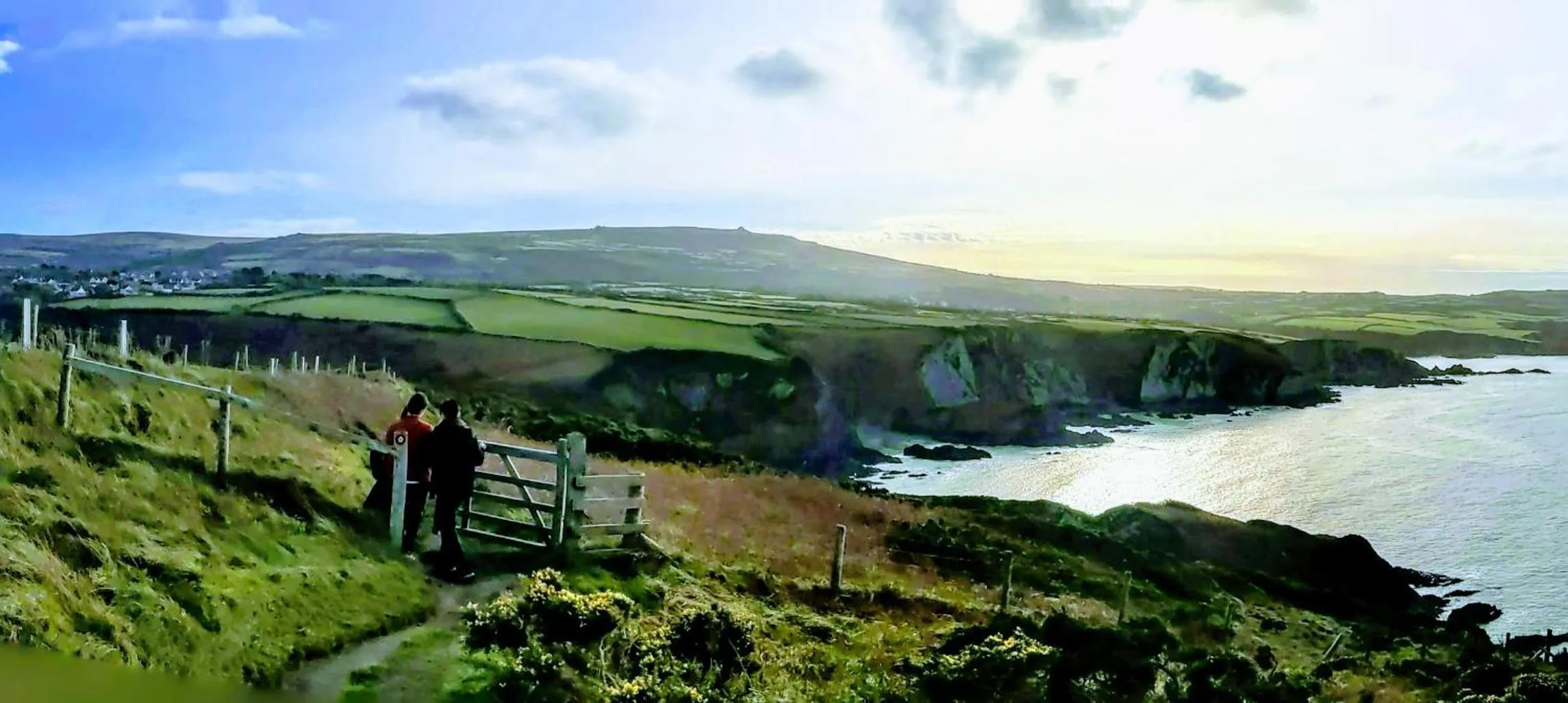 Natural landscape in Ivybridge Guesthouse