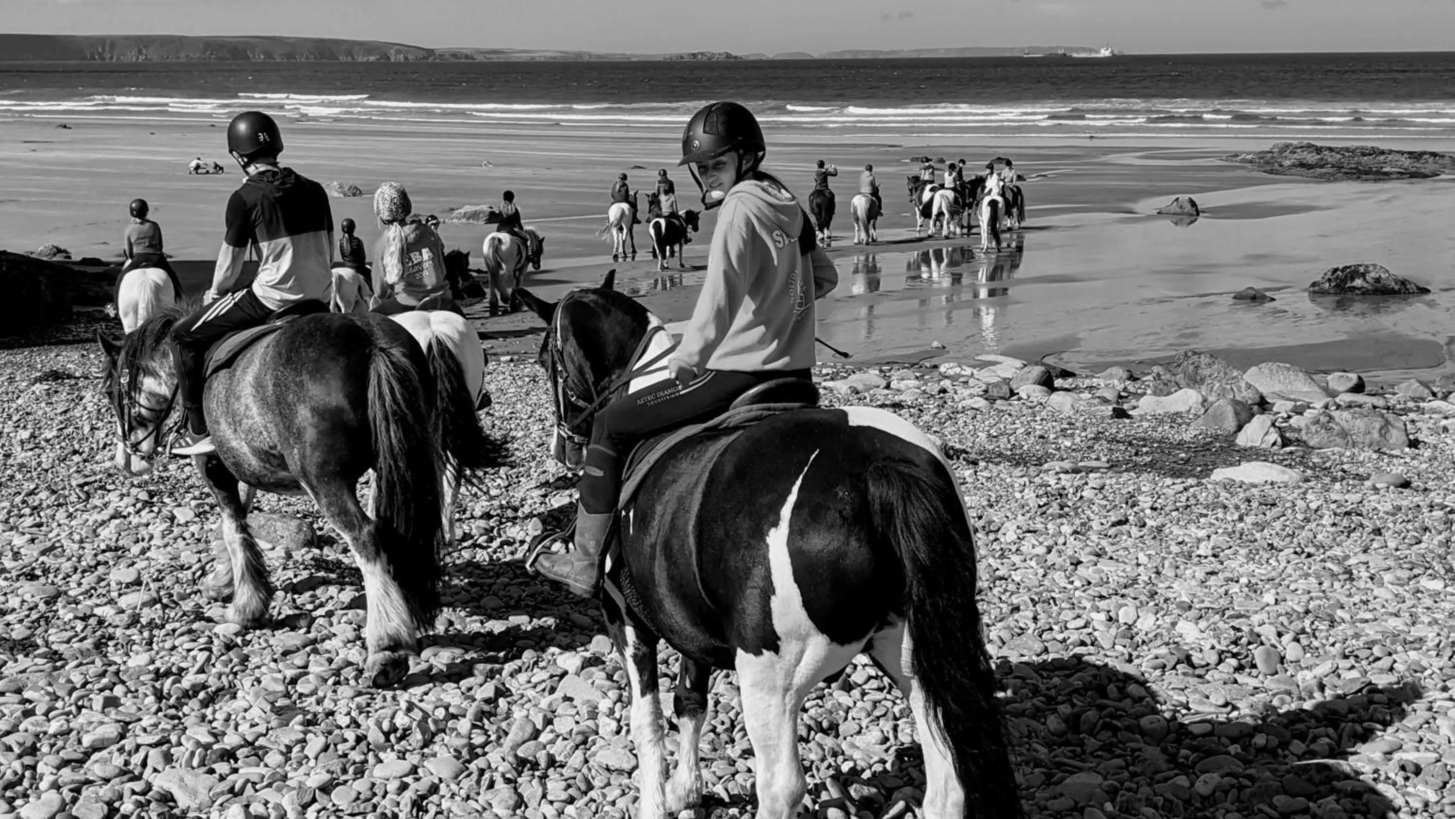 Horse-riding in Ivybridge Guesthouse