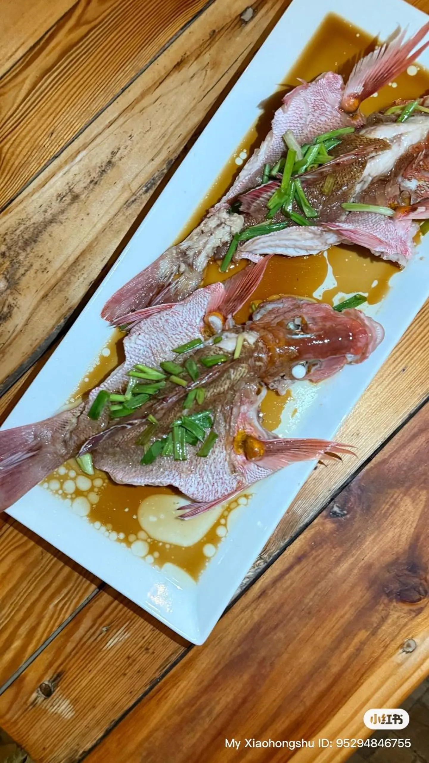 Manta Sea View Himandhoo