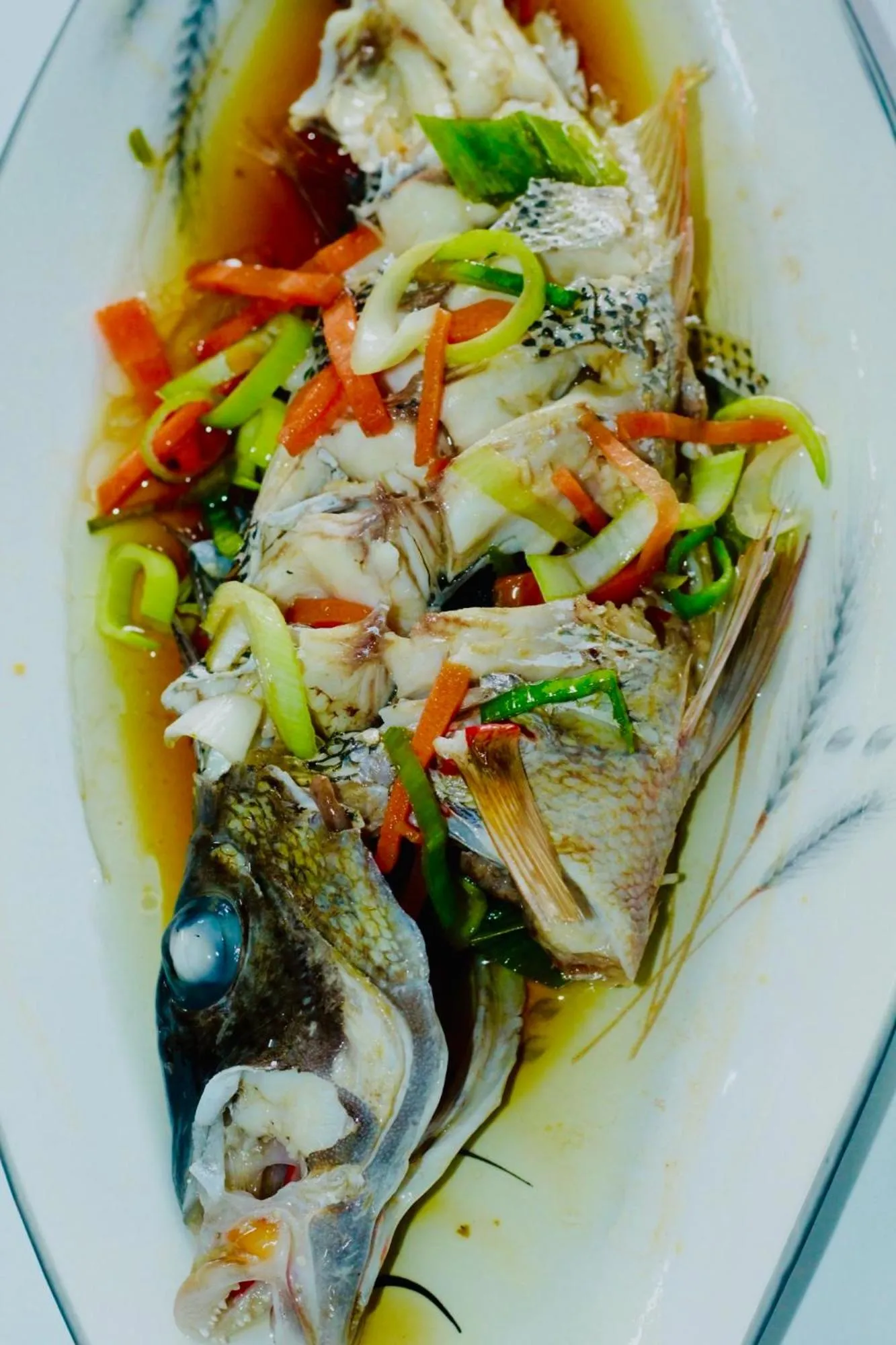 Manta Sea View Himandhoo